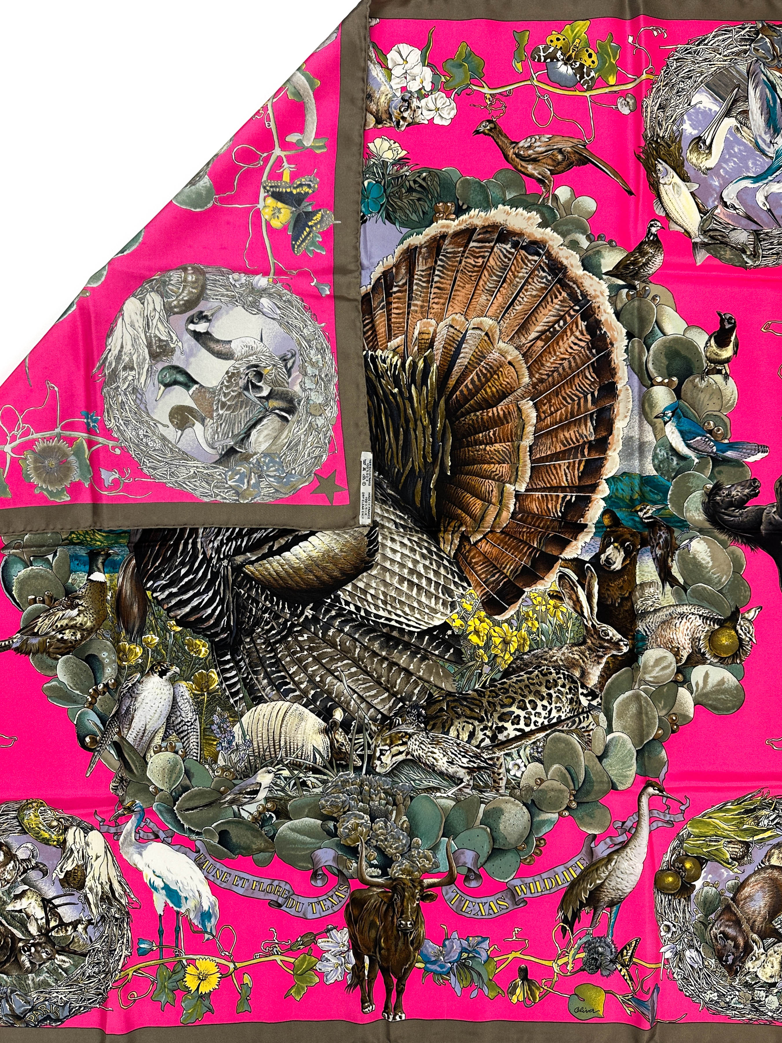 Hermès Faune et Flore du Texas 90
