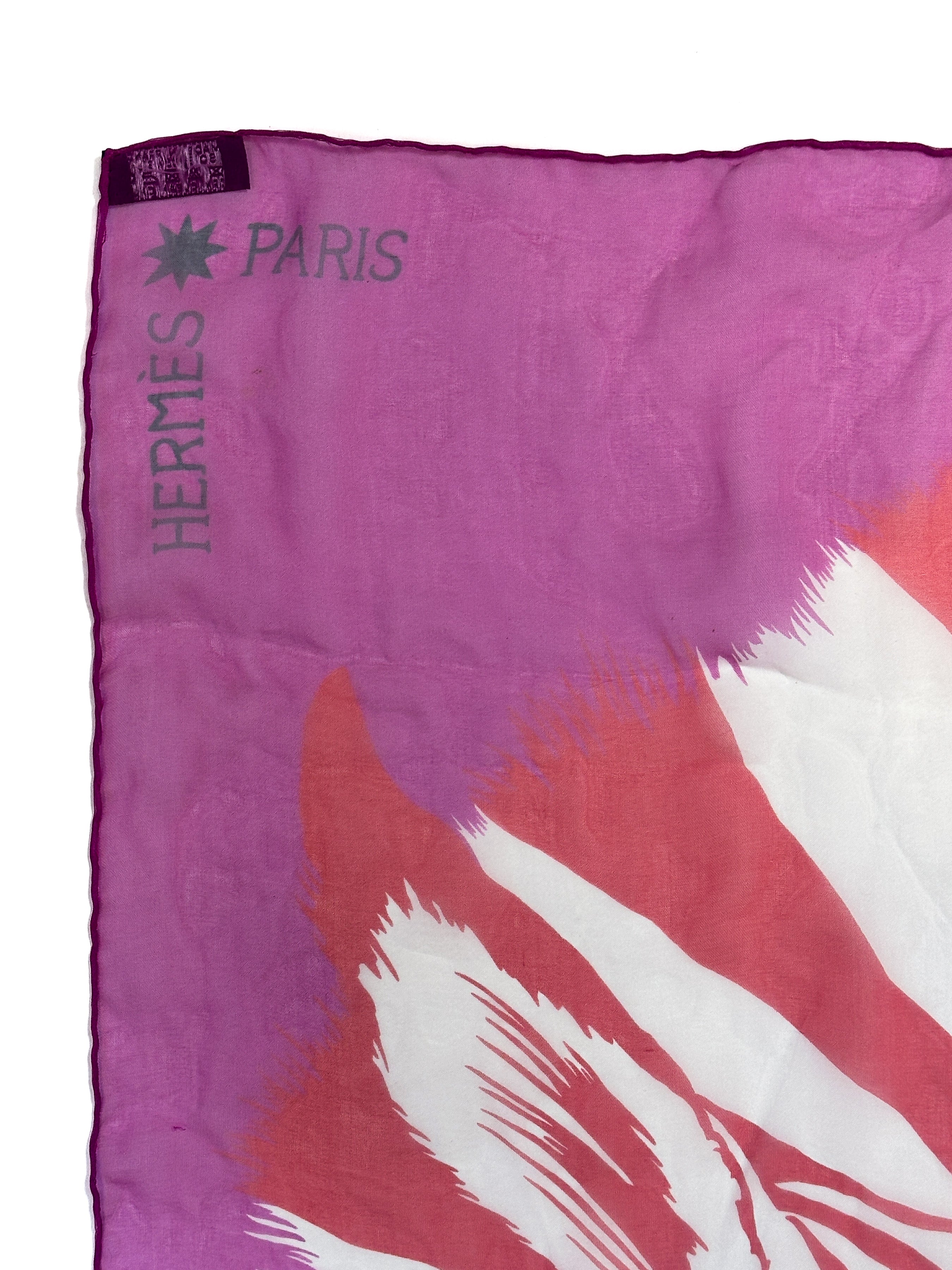 Hermès Zebra Pegasus Mousseline 140