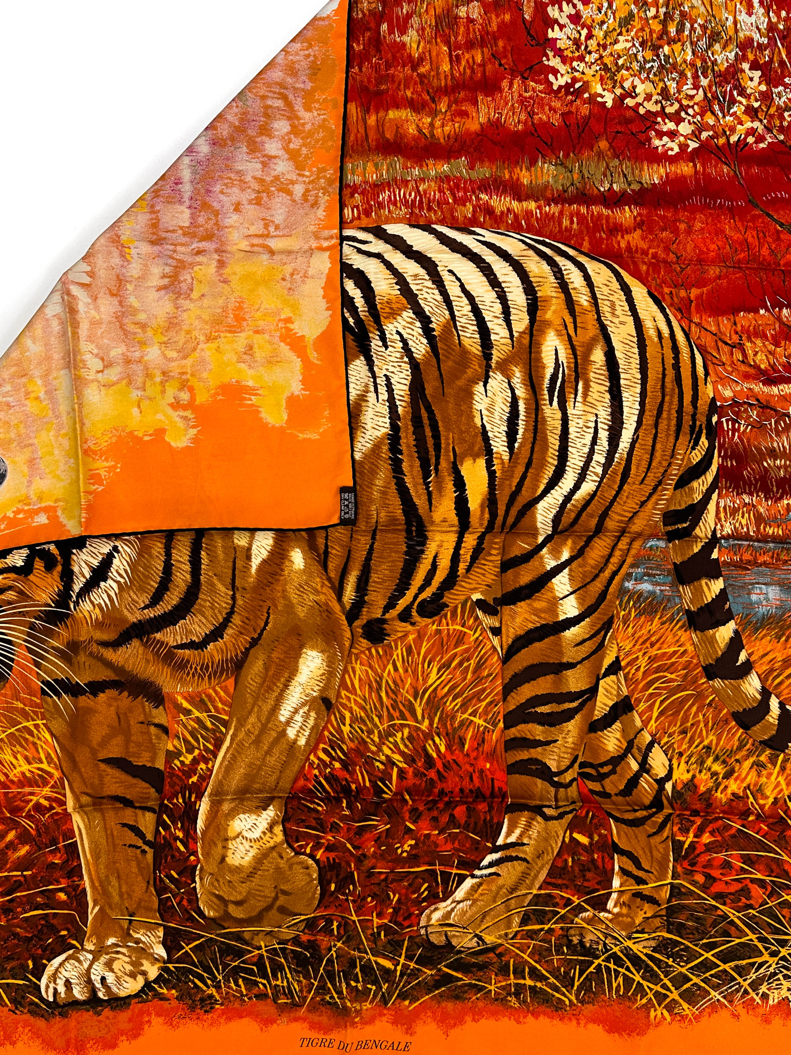 Hermès Tigre du Bengale 90