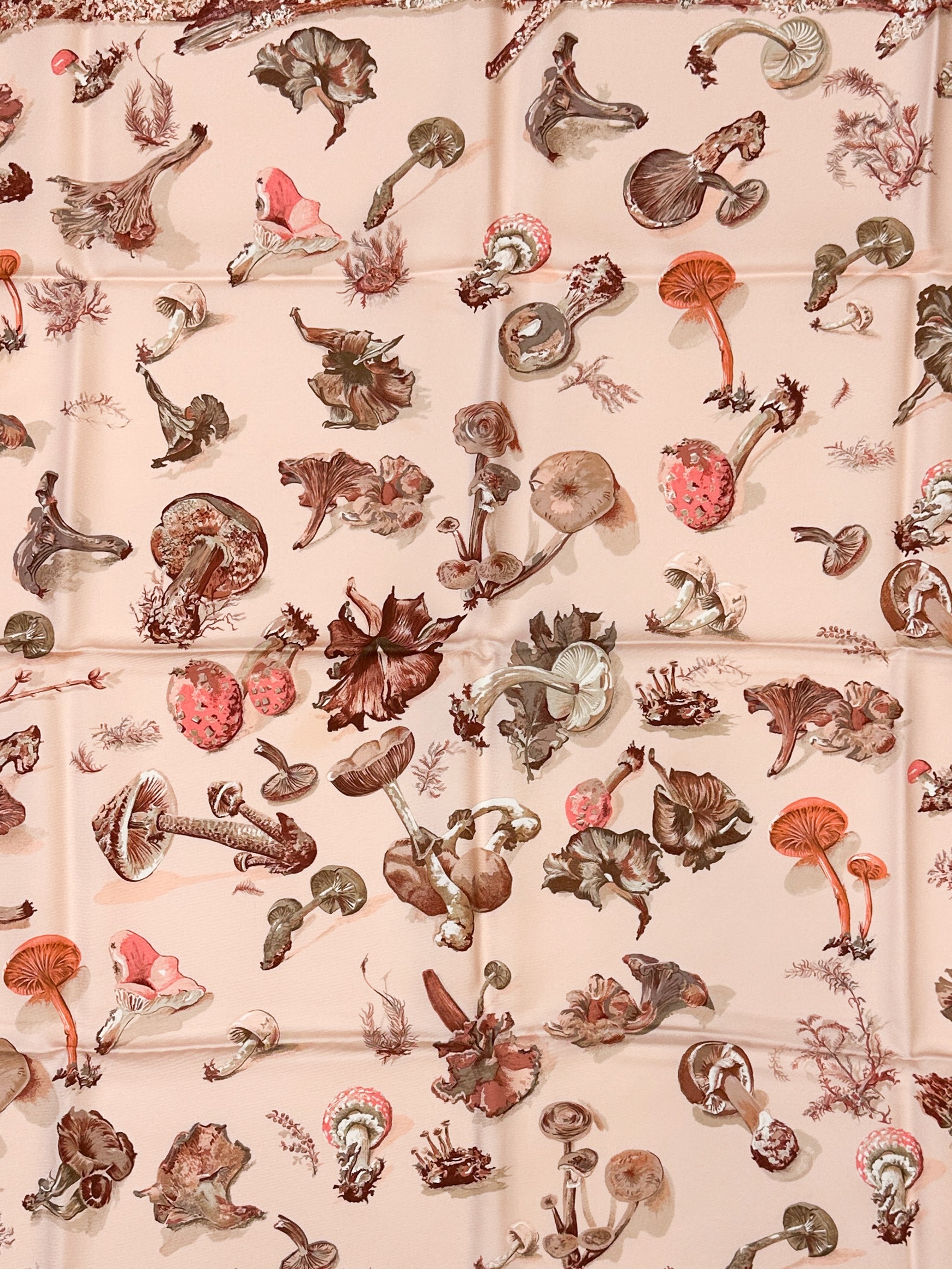 Hermès Champignons 90