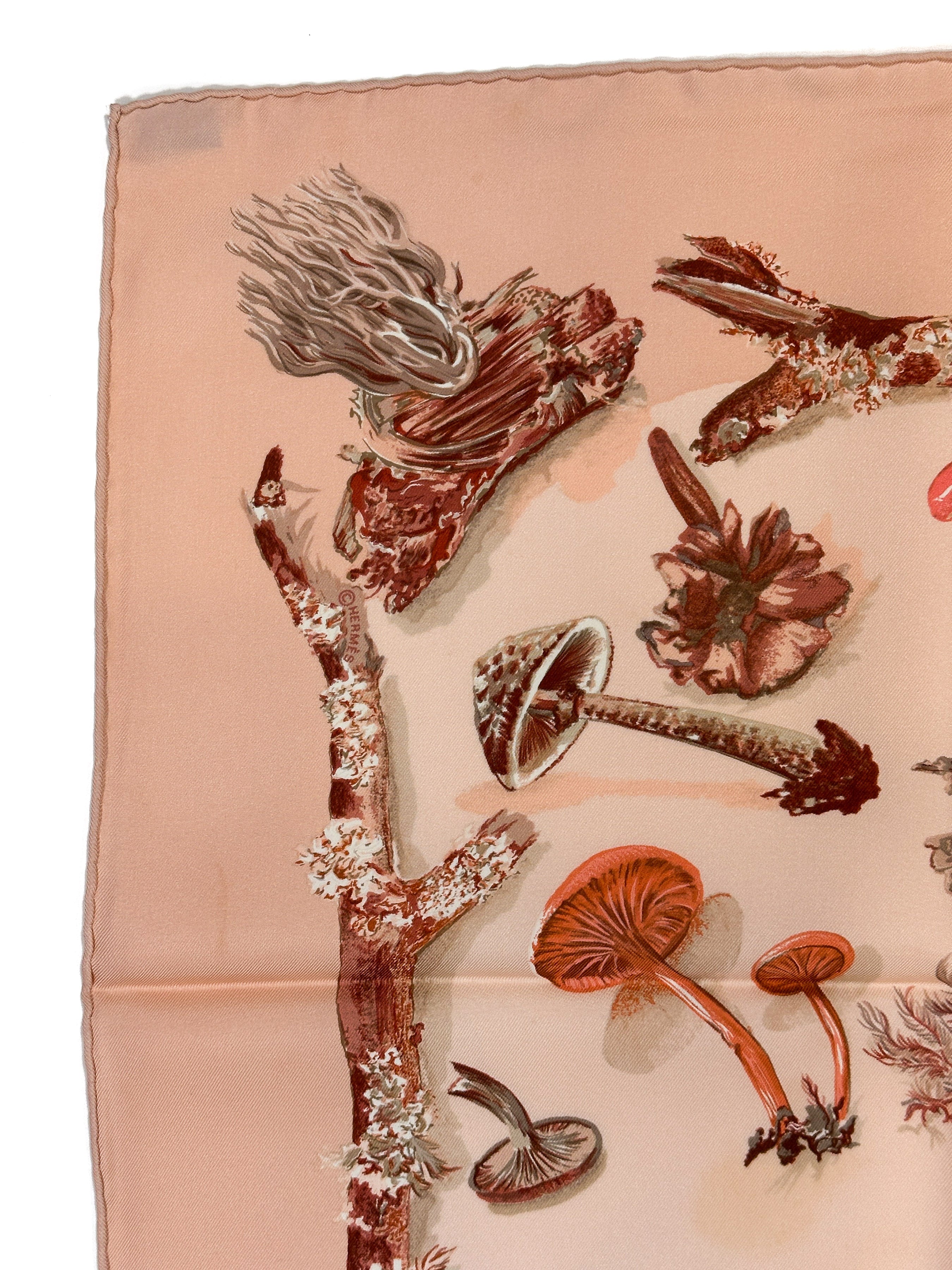 Hermès Champignons 90