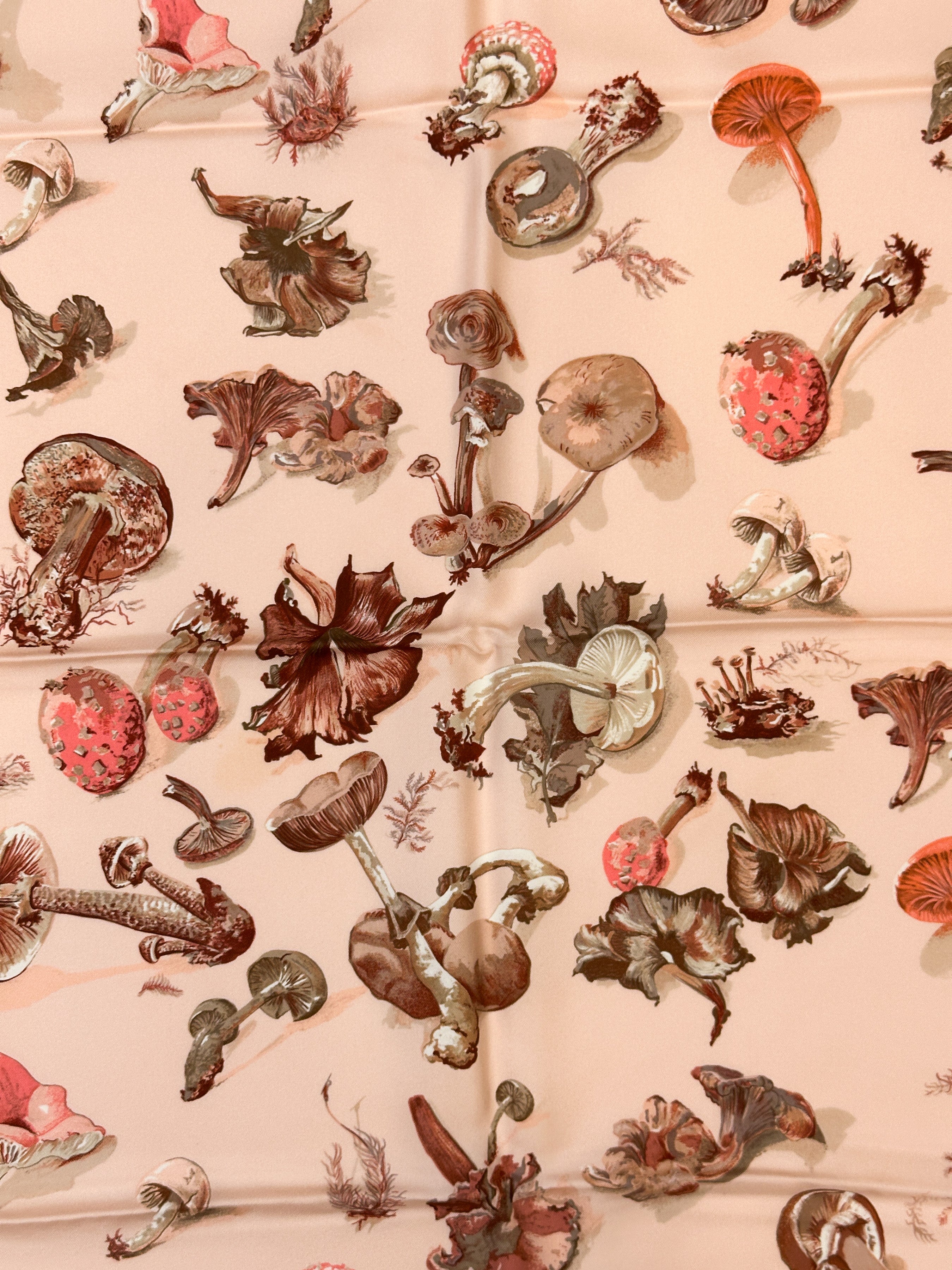 Hermès Champignons 90