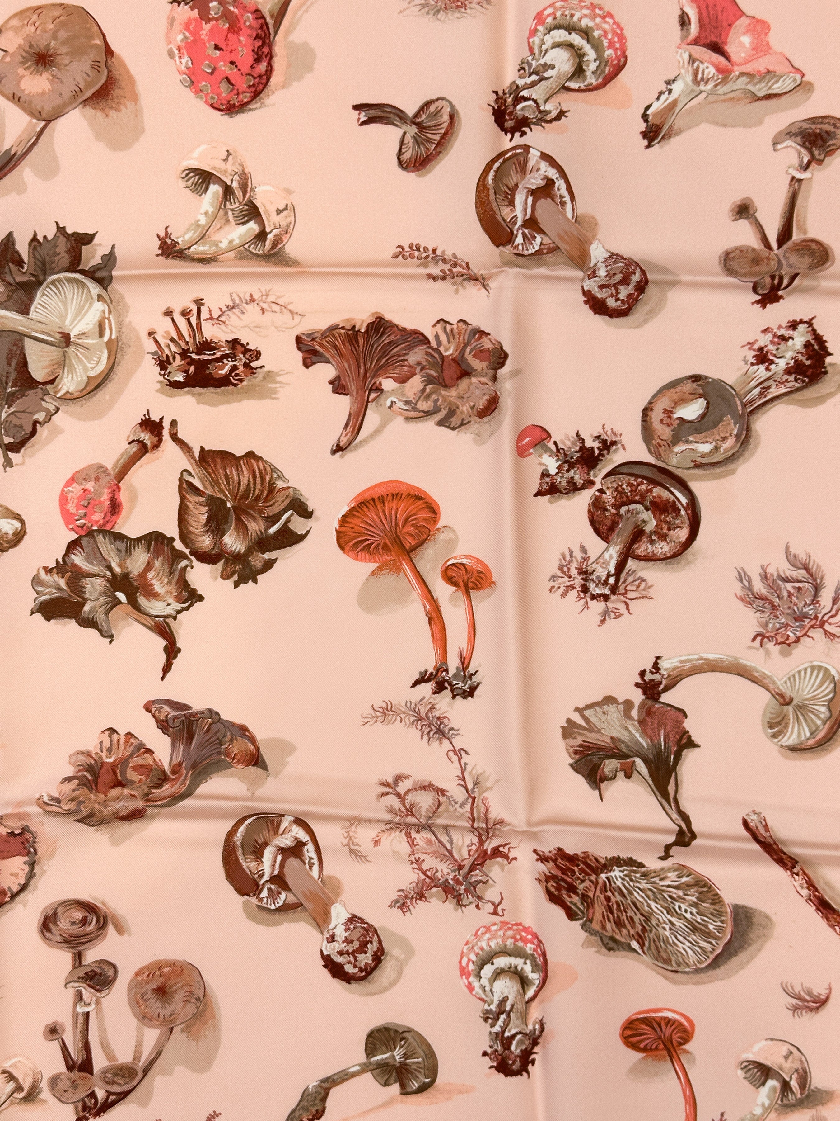 Hermès Champignons 90