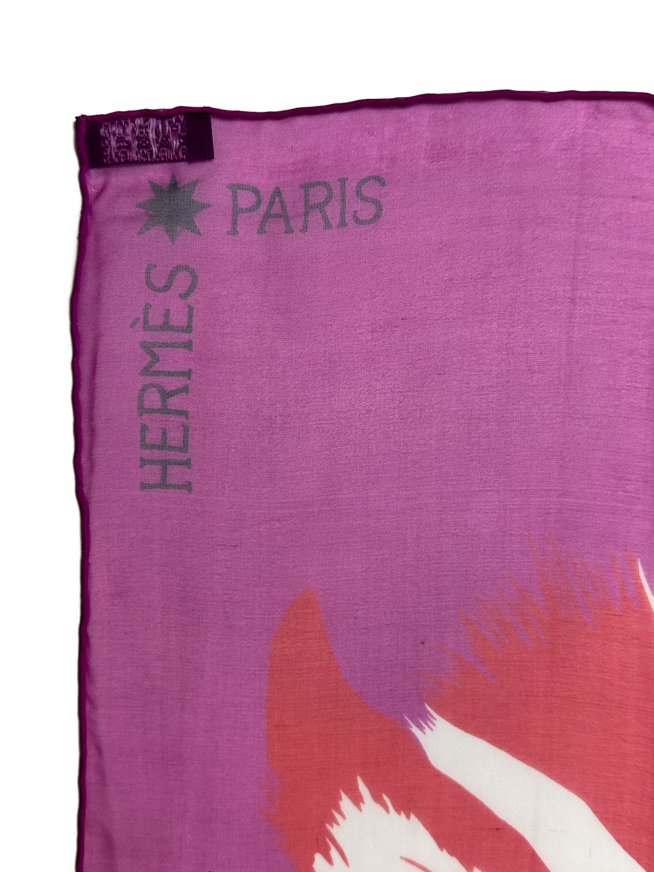 Hermès Zebra Pegasus Mousseline 140