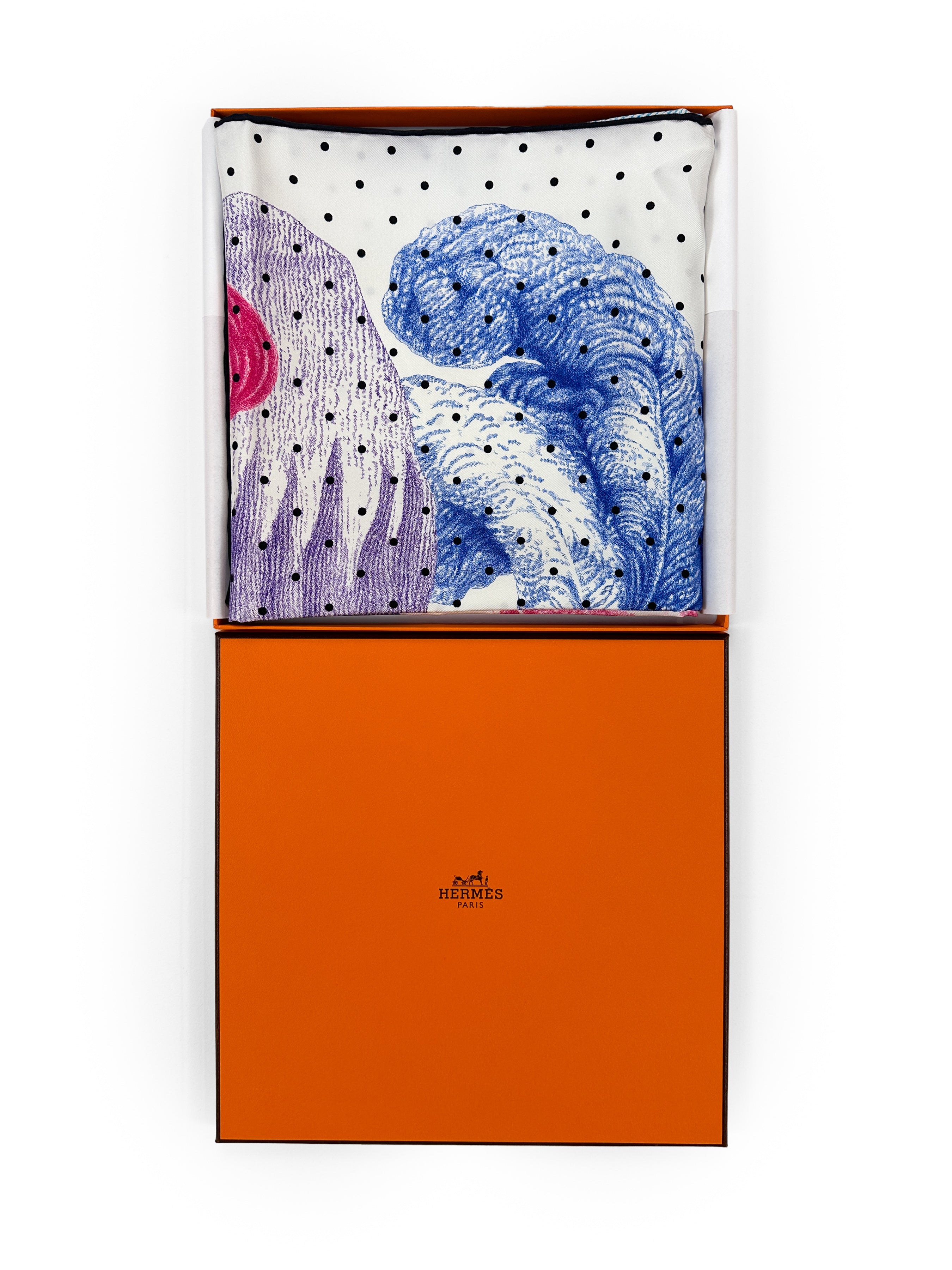 Hermès Plumets et Panaches 90