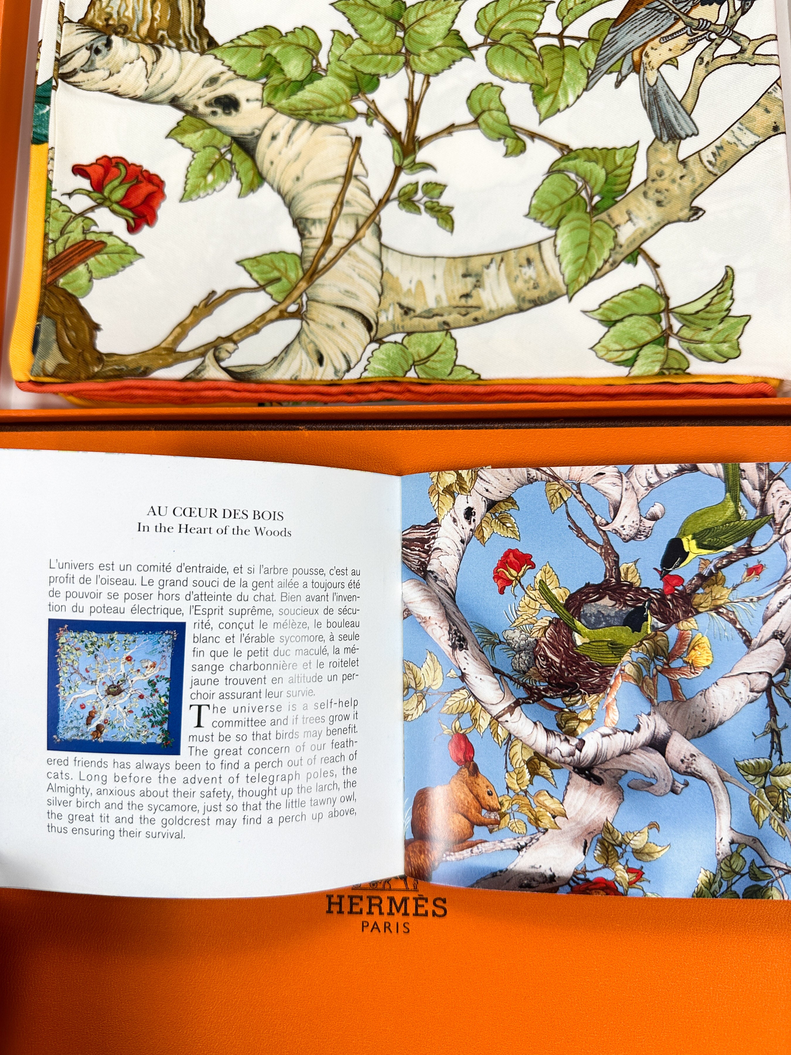 Hermès Au Cœur des Bois 90