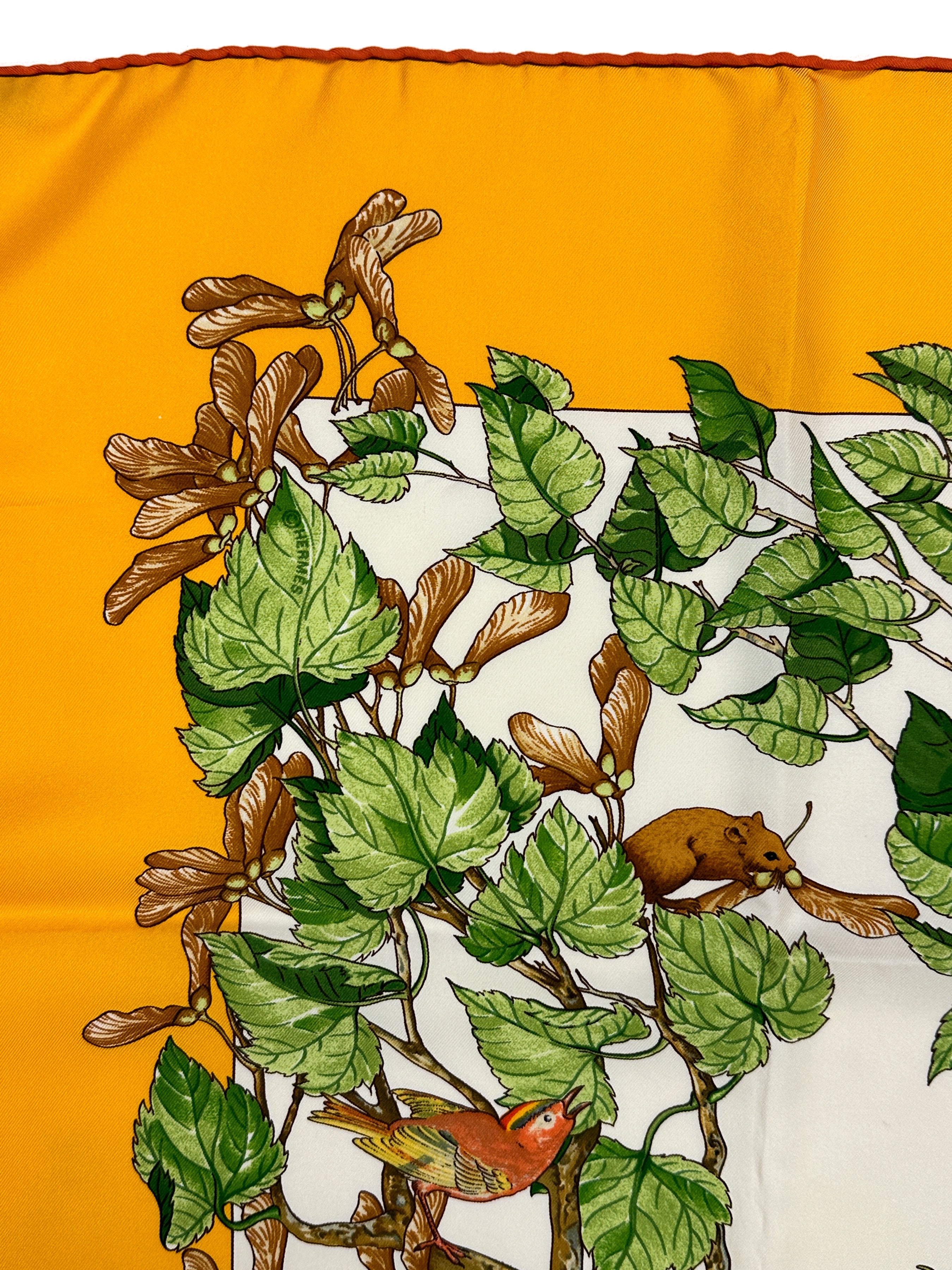 Hermès Au Cœur des Bois 90