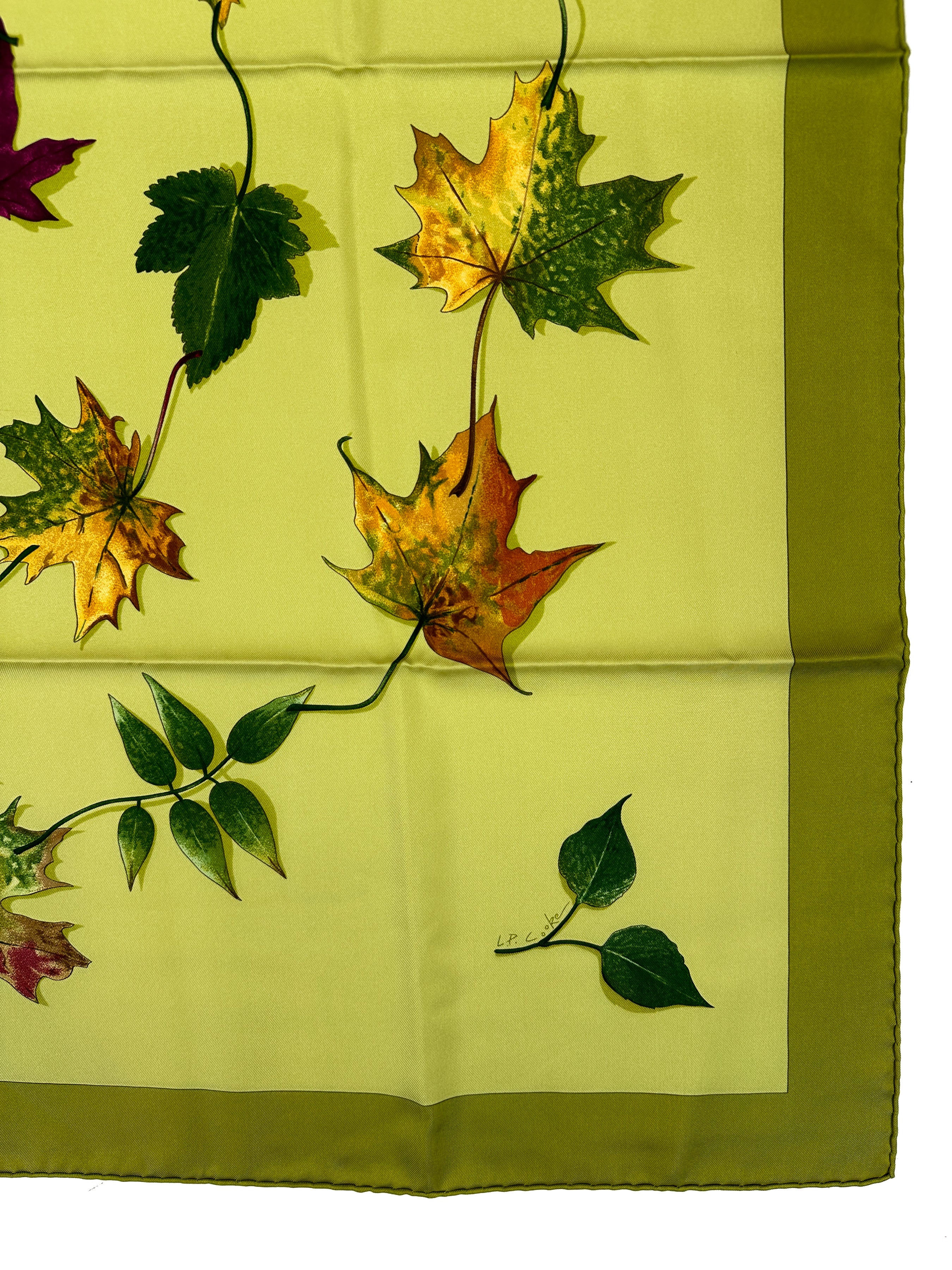 Hermès A Walk In The Park 90