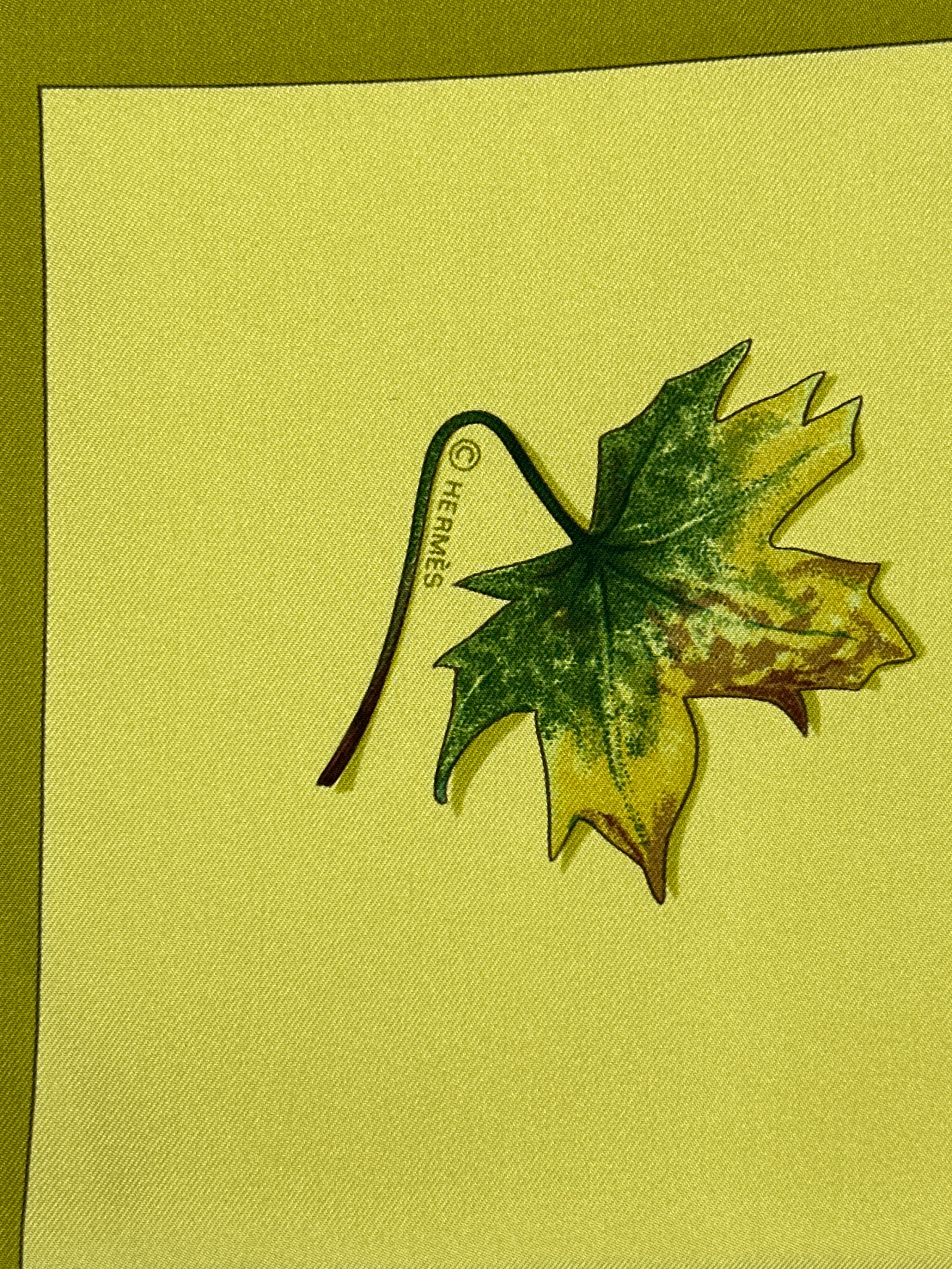 Hermès A Walk In The Park 90