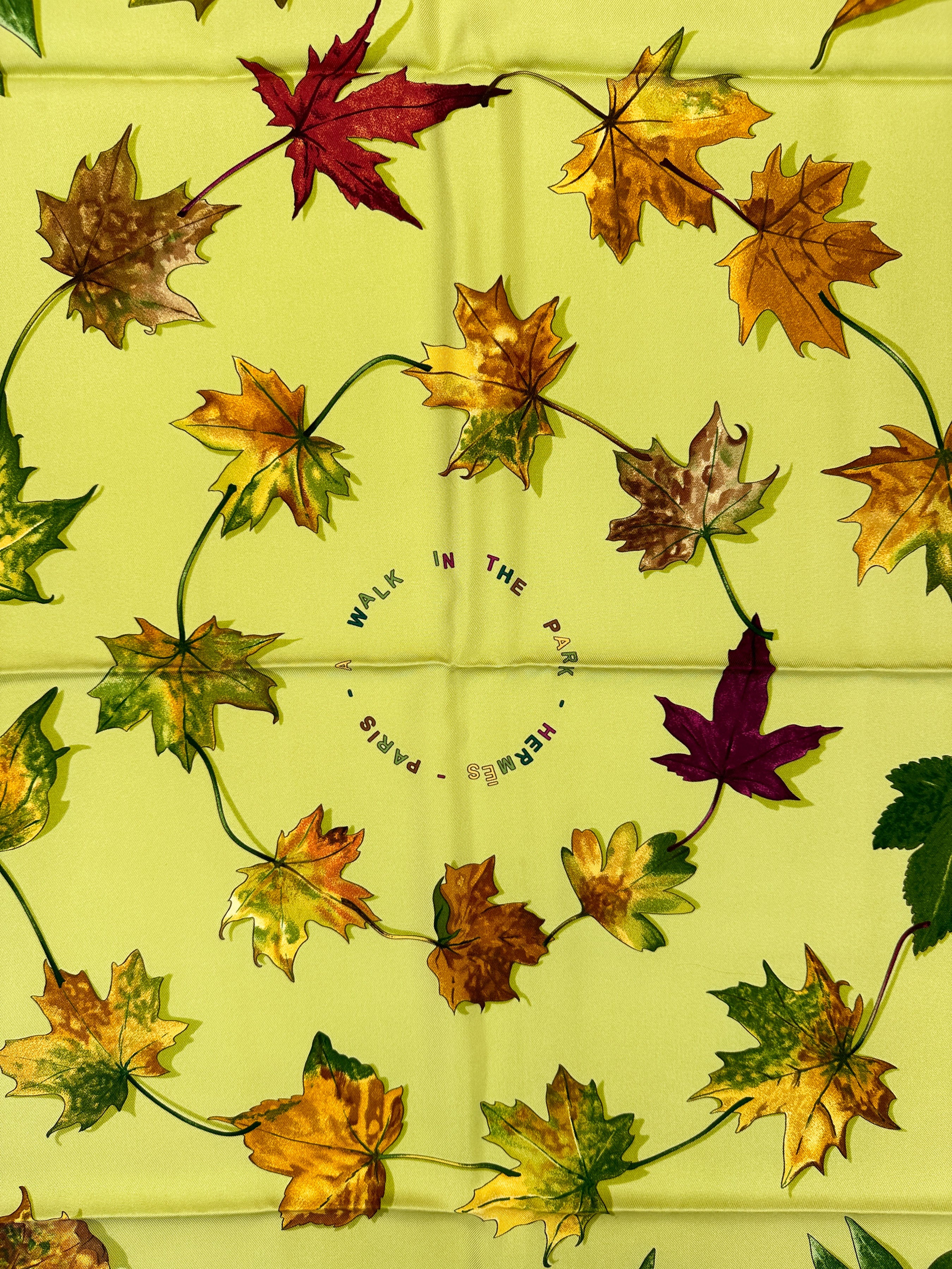 Hermès A Walk In The Park 90