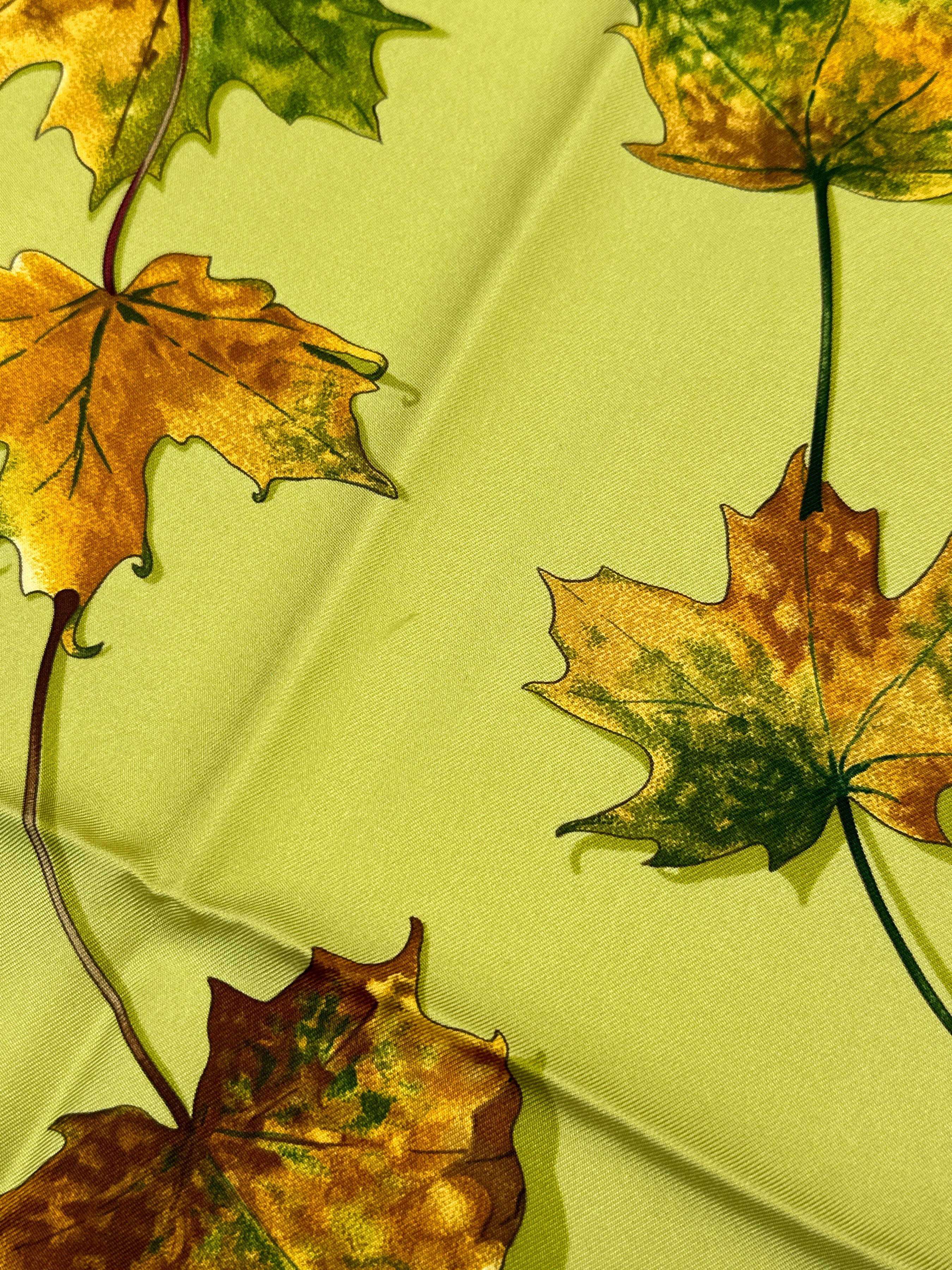 Hermès A Walk In The Park 90