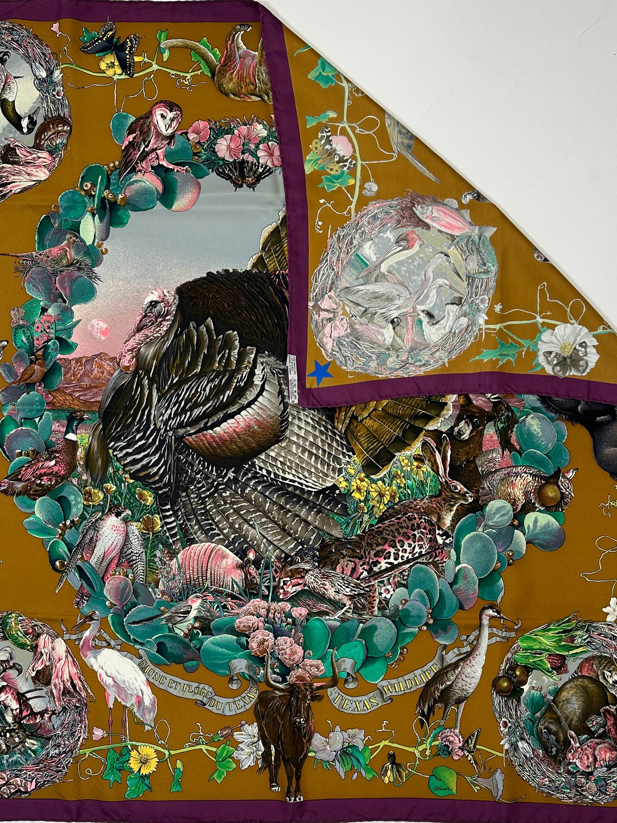 Hermès Faune et Flore du Texas 90