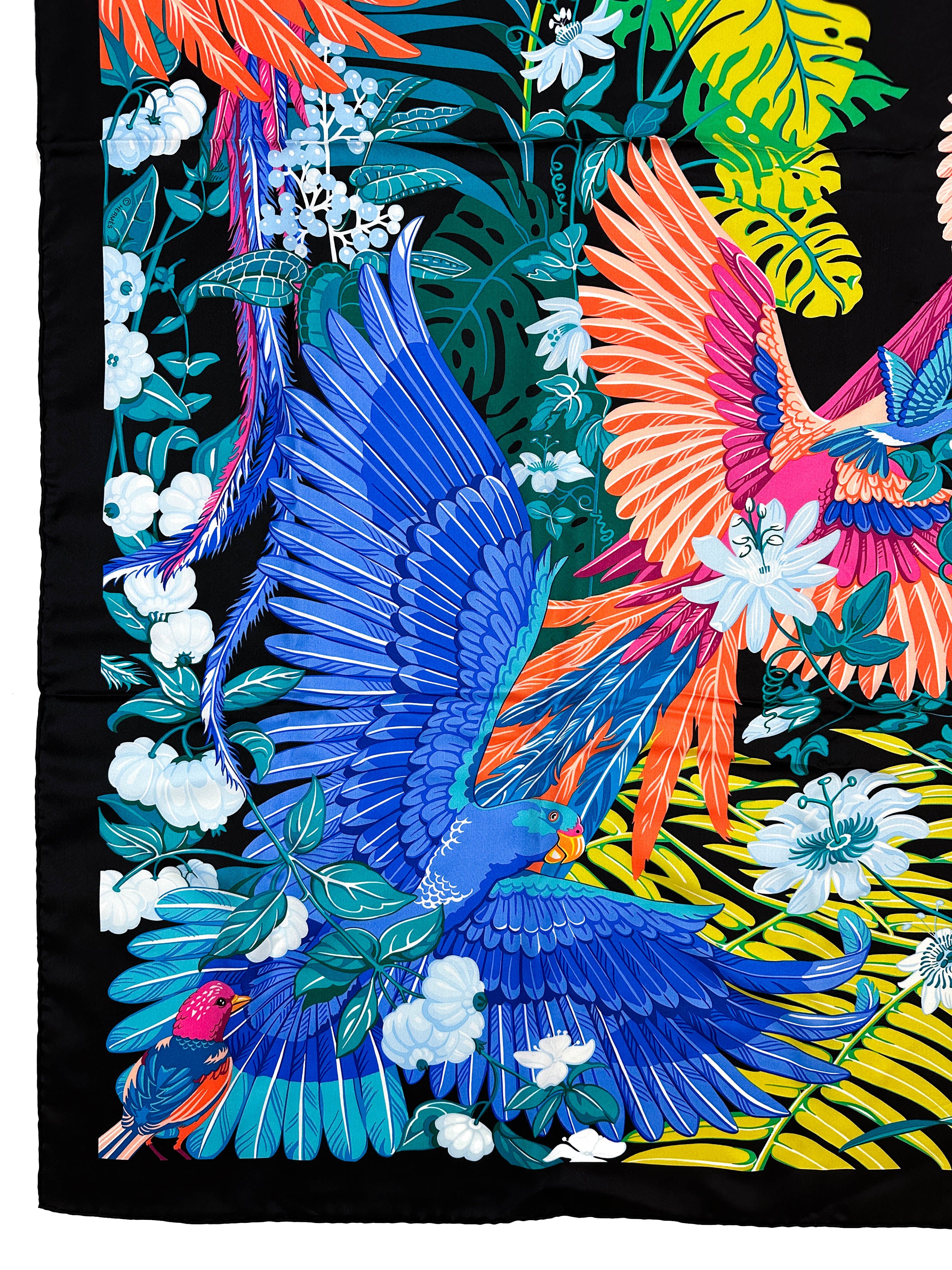 Hermès Carnaval des Oiseaux Silk 140