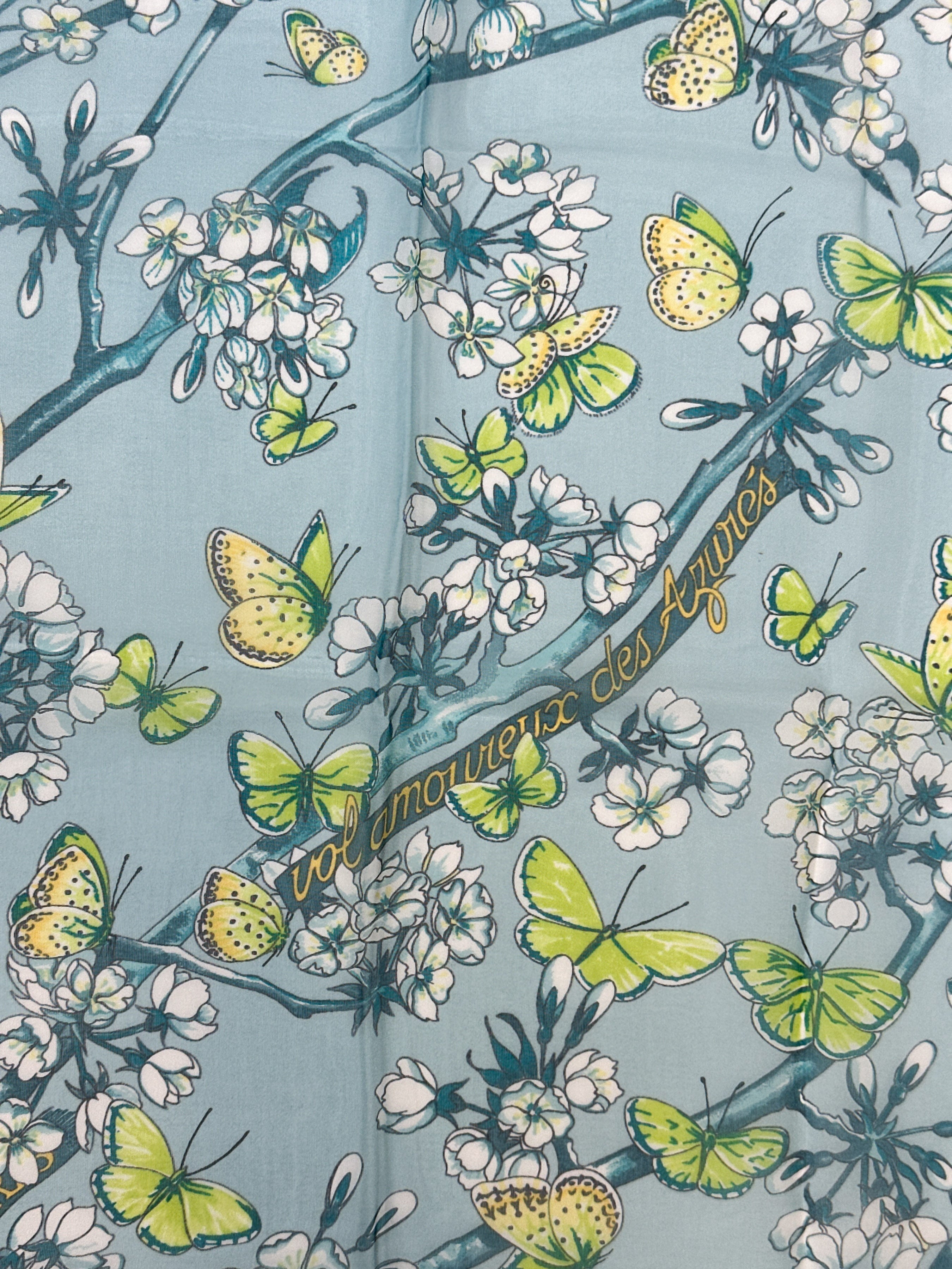 Hermès Vol Amoureux des Azurés Mousseline 90