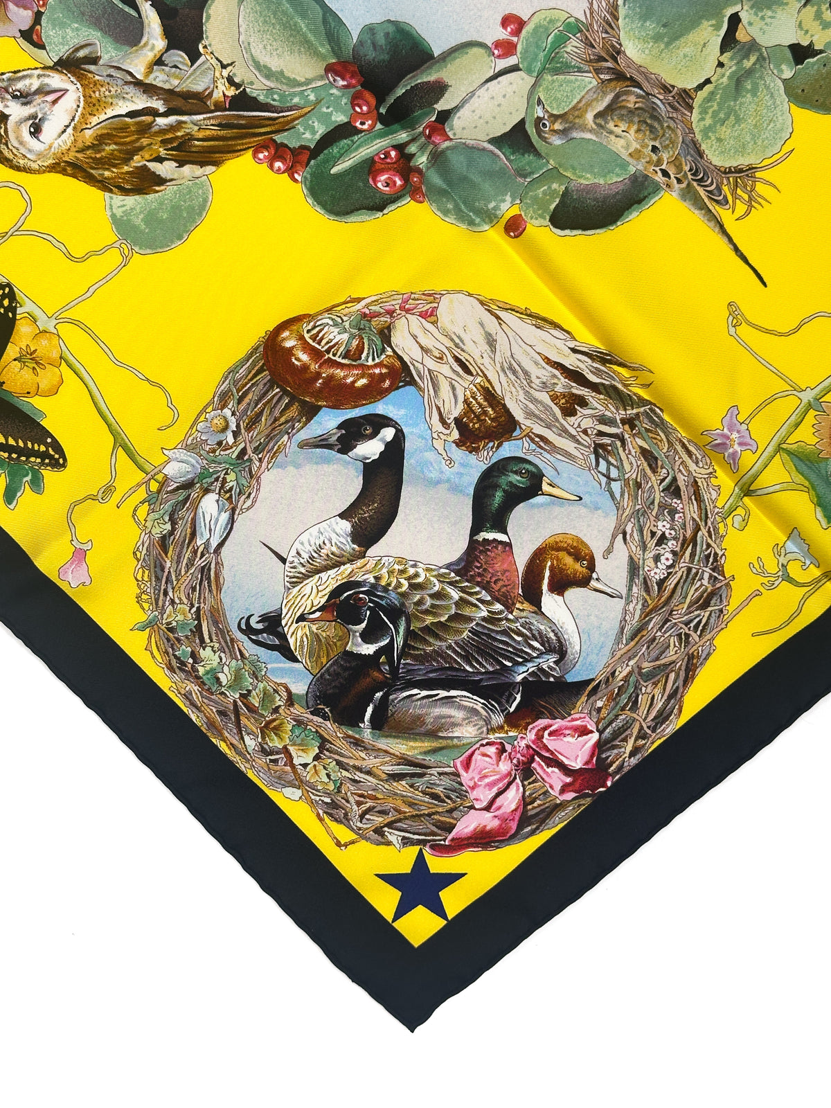 Hermès *Limited Edition Museum of Fine Arts Houston 2005* Faune et Flore du Texas 90