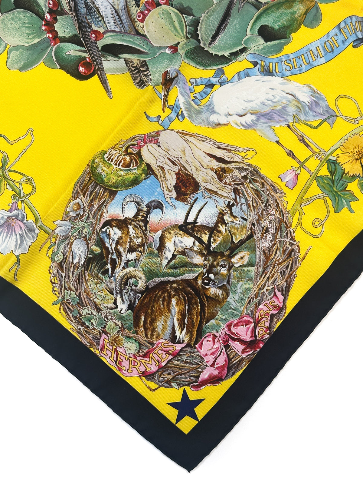 Hermès *Limited Edition Museum of Fine Arts Houston 2005* Faune et Flore du Texas 90