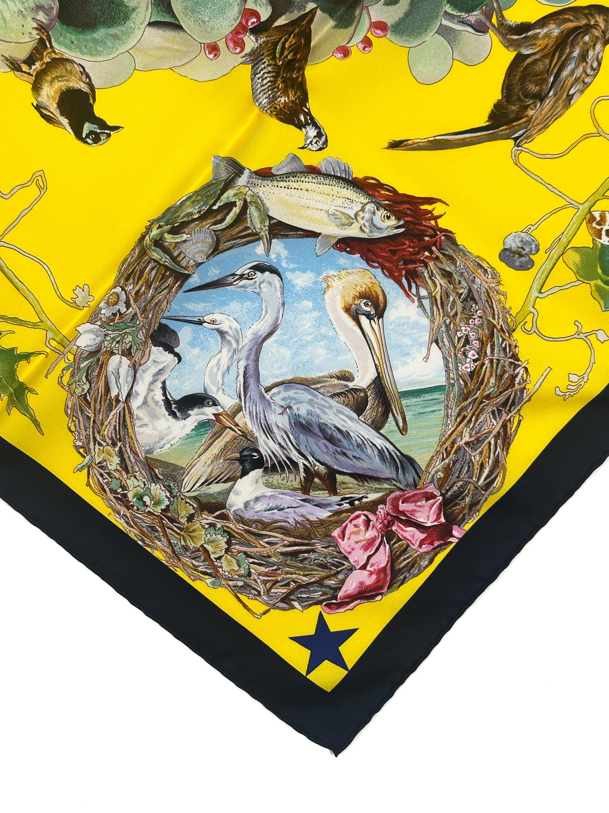 Hermès *Limited Edition Museum of Fine Arts Houston 2005* Faune et Flore du Texas 90