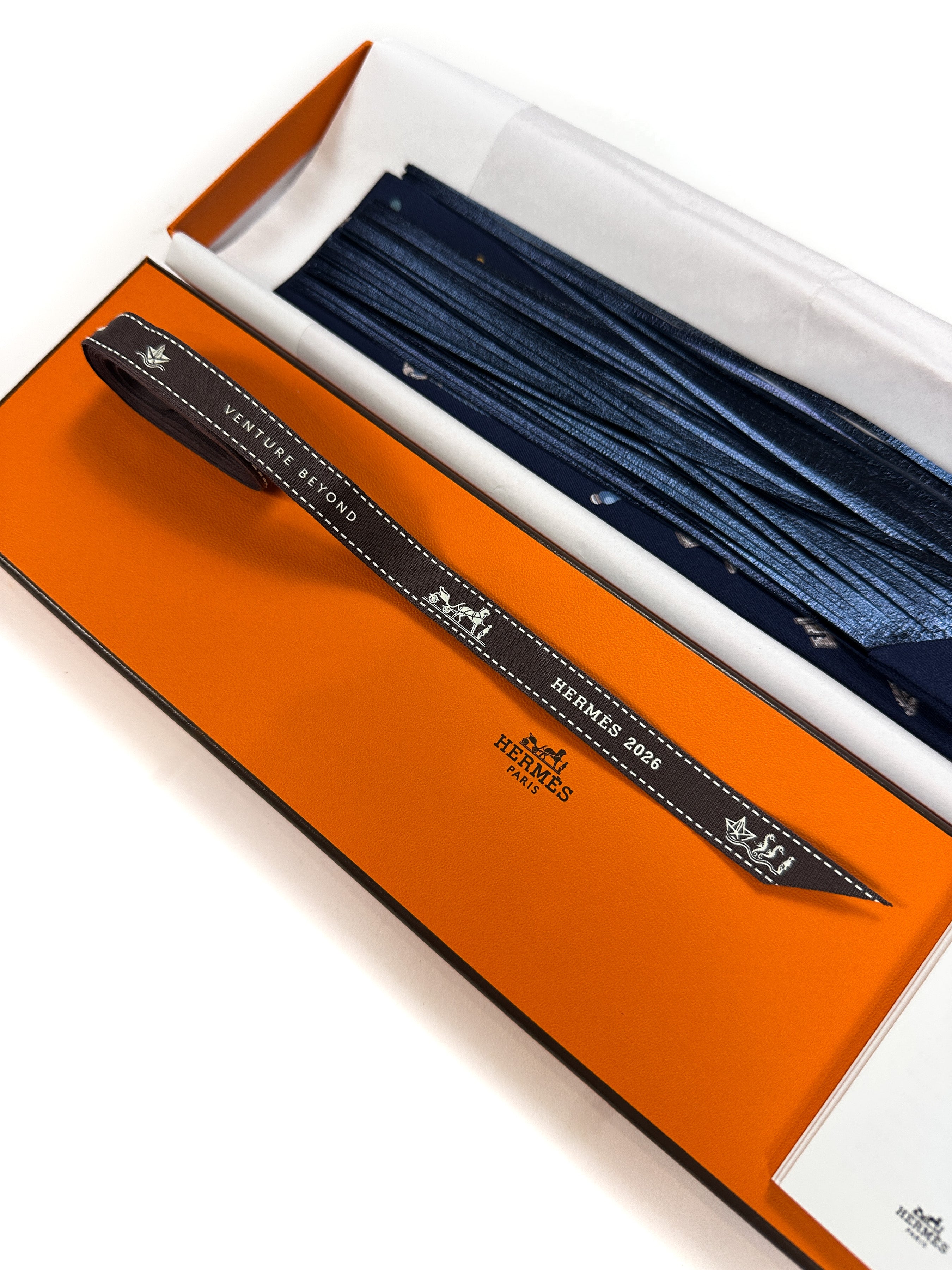 Hermès Les Cles au Pois Metallic Fringe Twilly