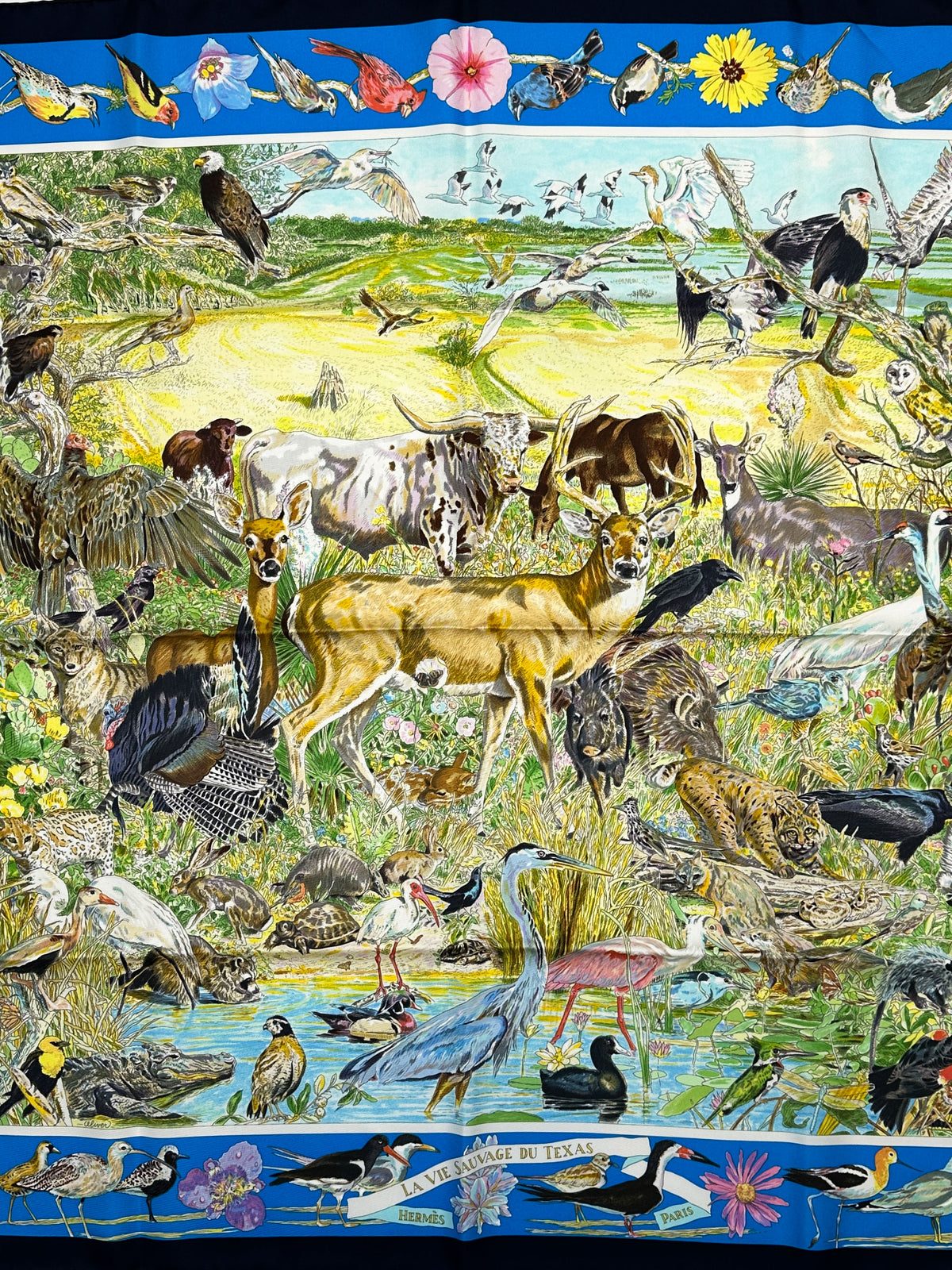 Hermès La Vie Sauvage du Texas 90