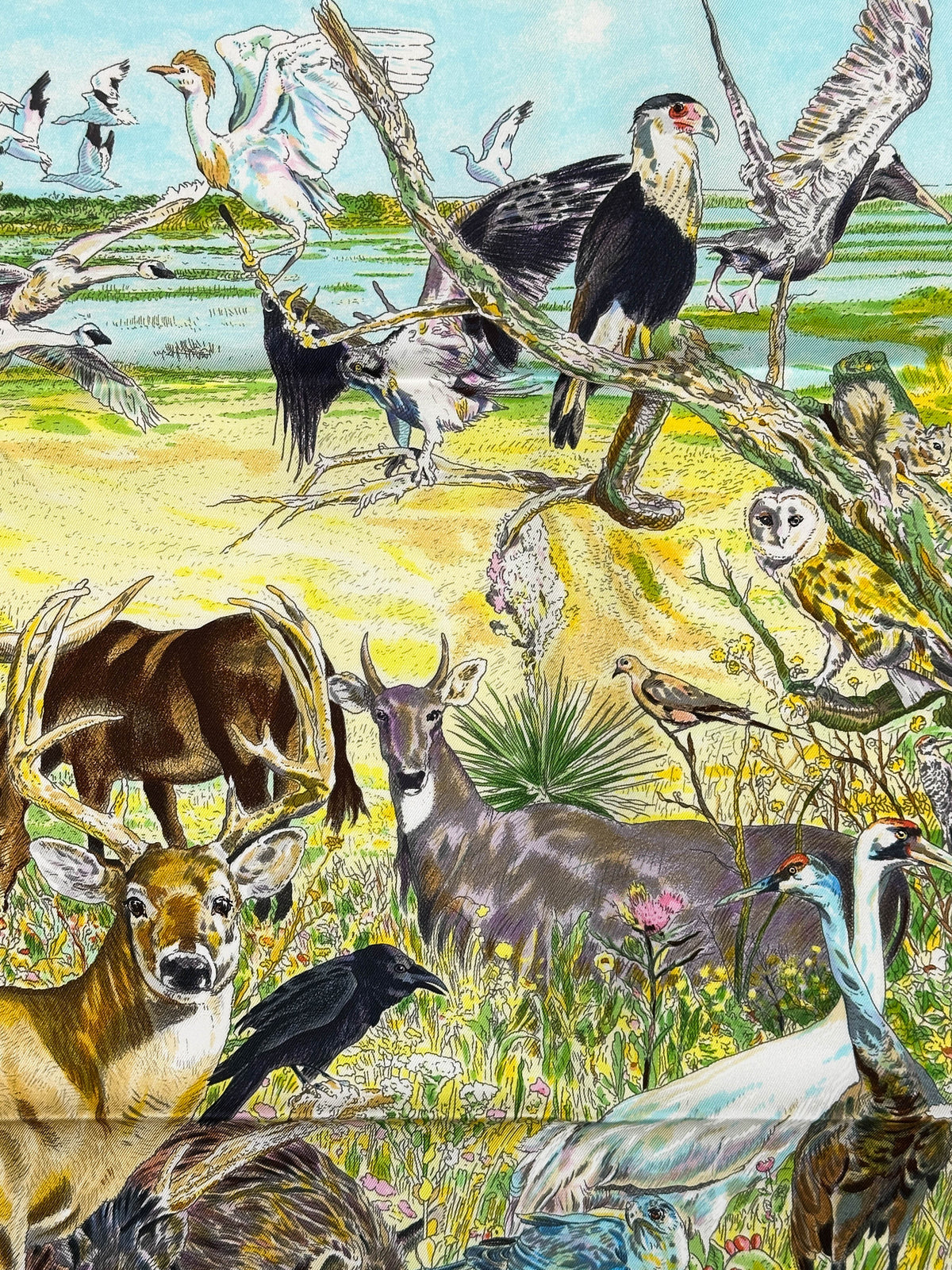 Hermès La Vie Sauvage du Texas 90