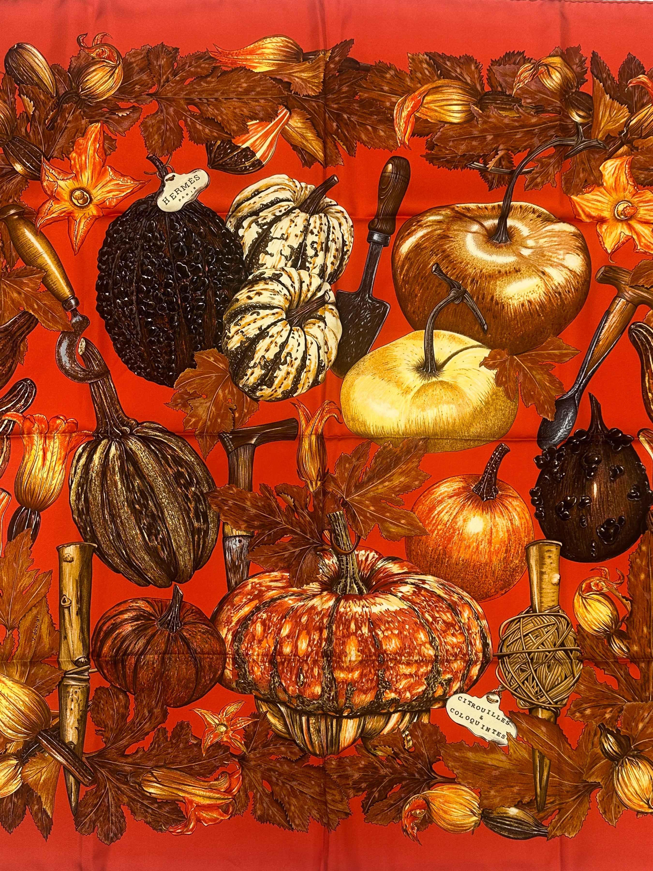 Hermès Citrouilles et Coloquintes 90