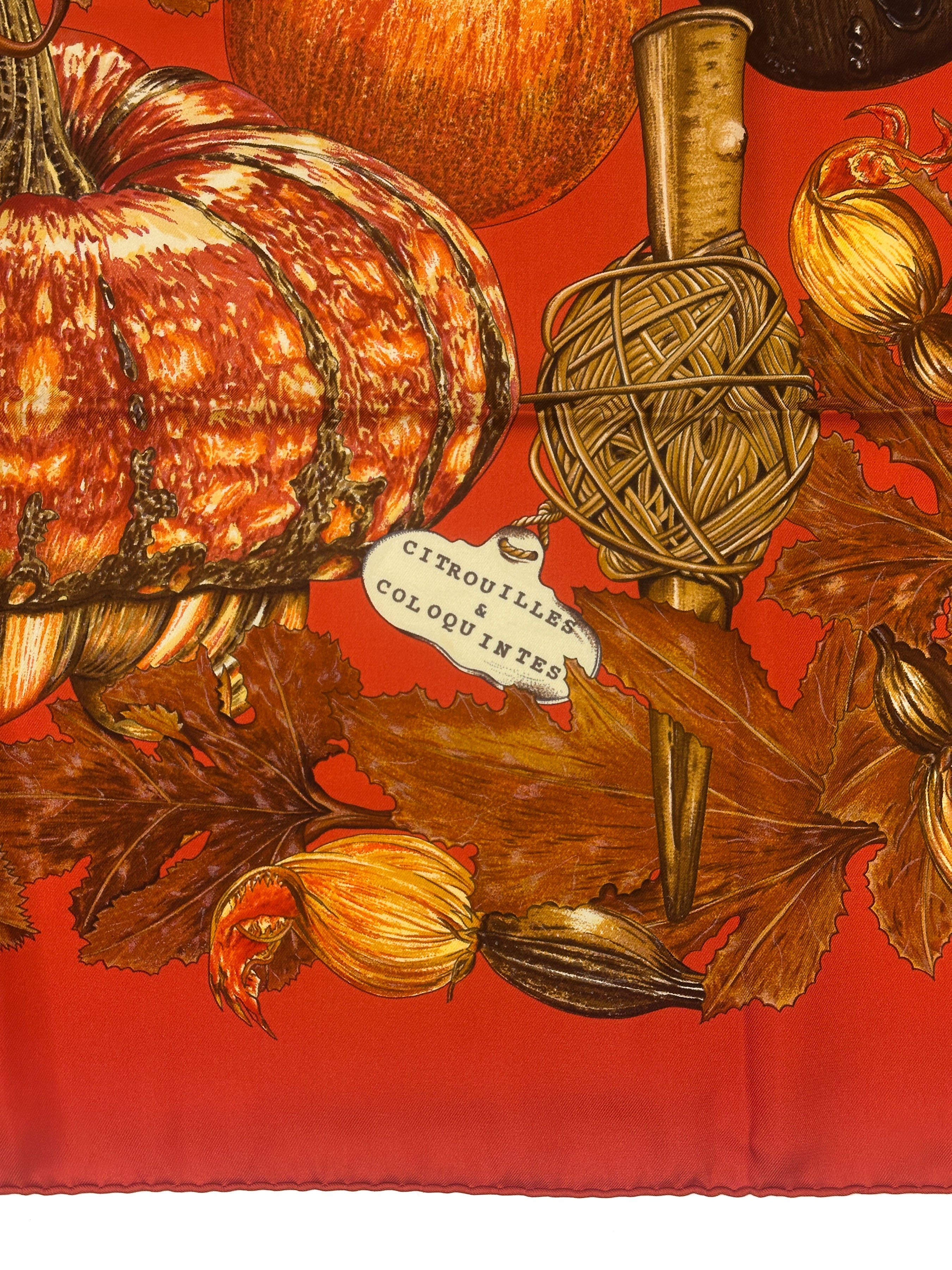 Hermès Citrouilles et Coloquintes 90