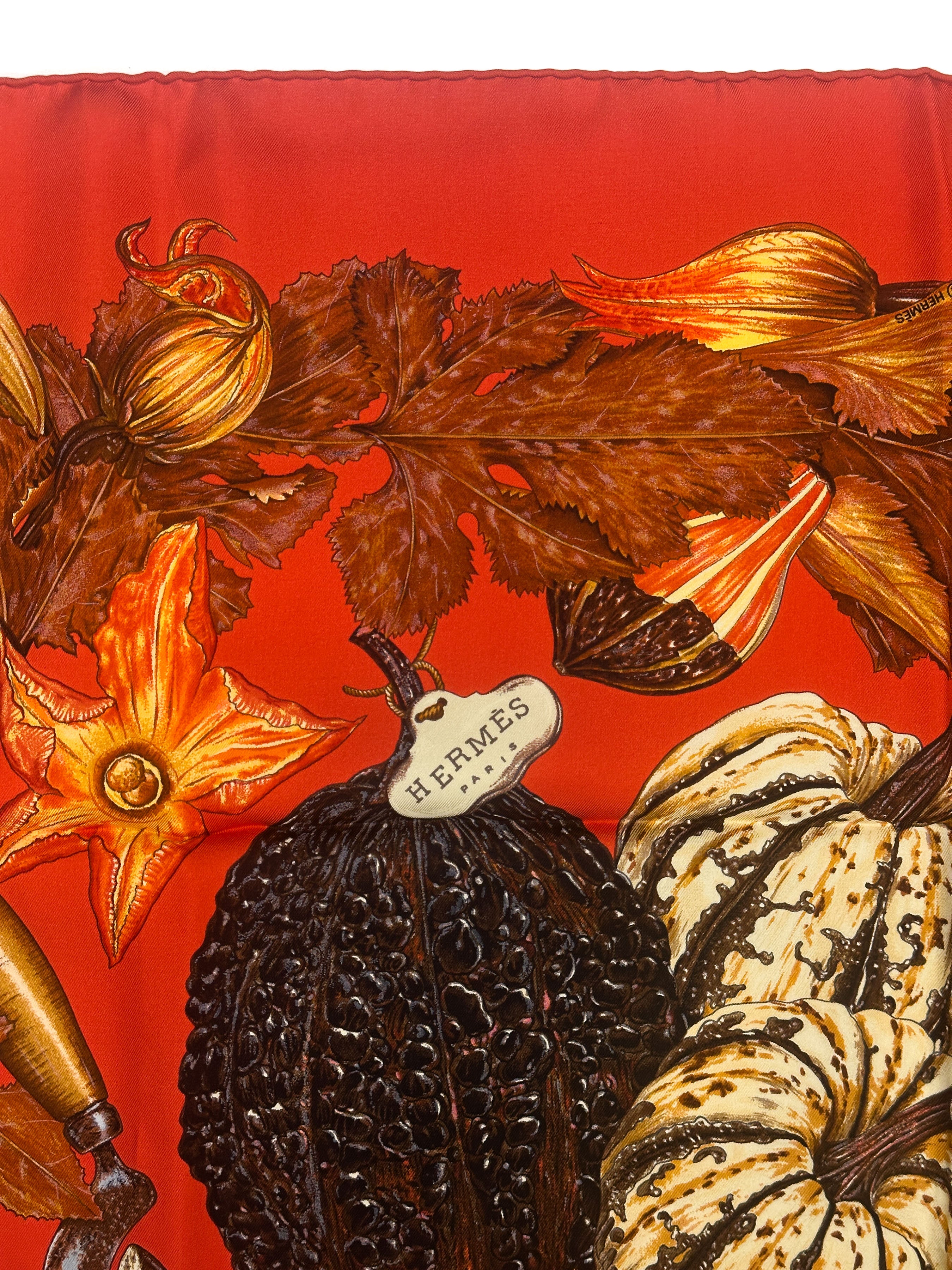 Hermès Citrouilles et Coloquintes 90