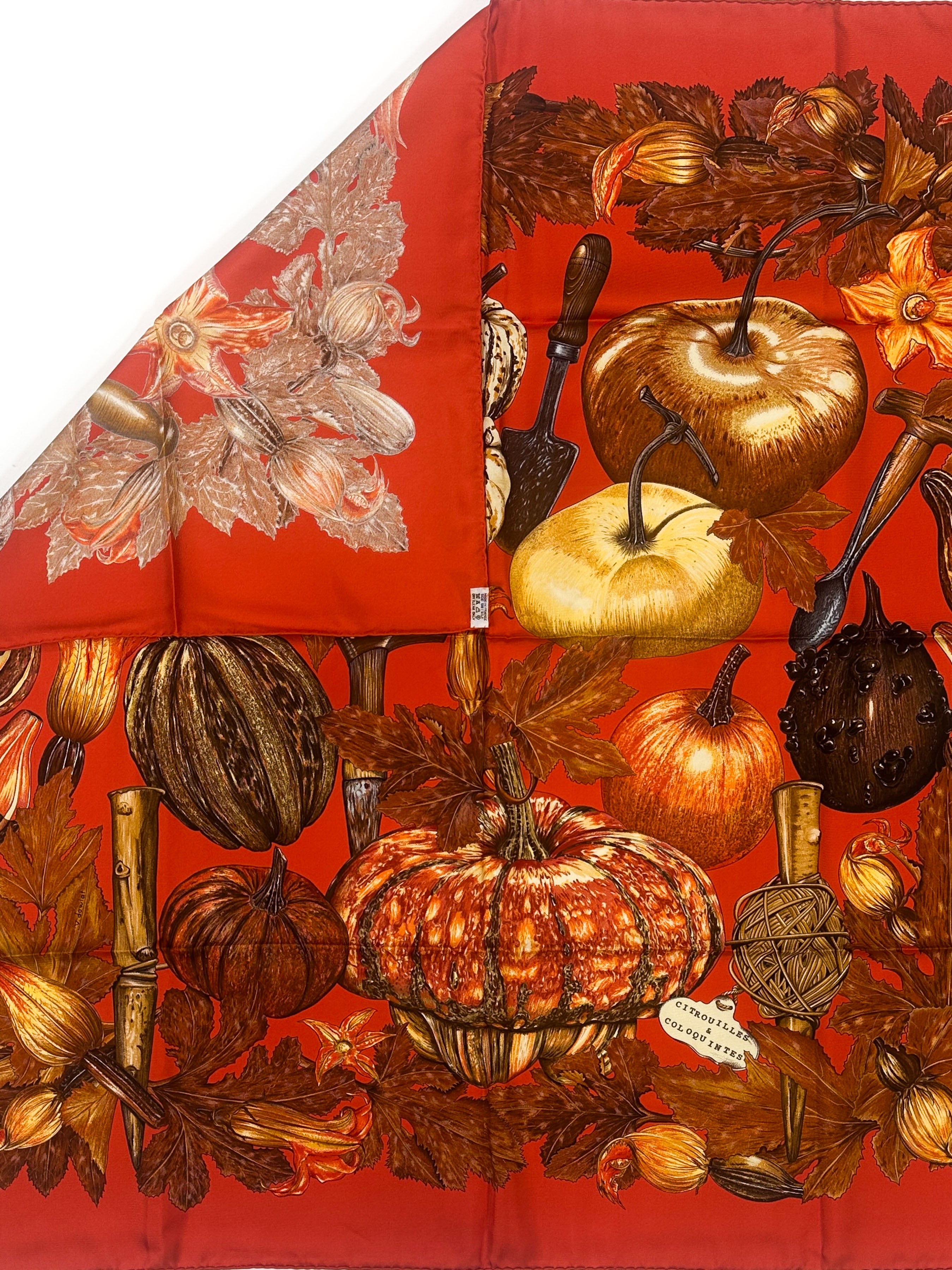 Hermès Citrouilles et Coloquintes 90