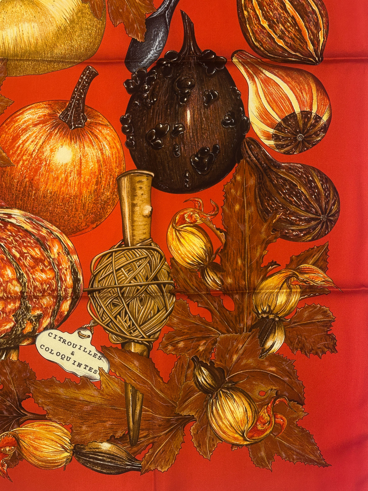 Hermès Citrouilles et Coloquintes 90