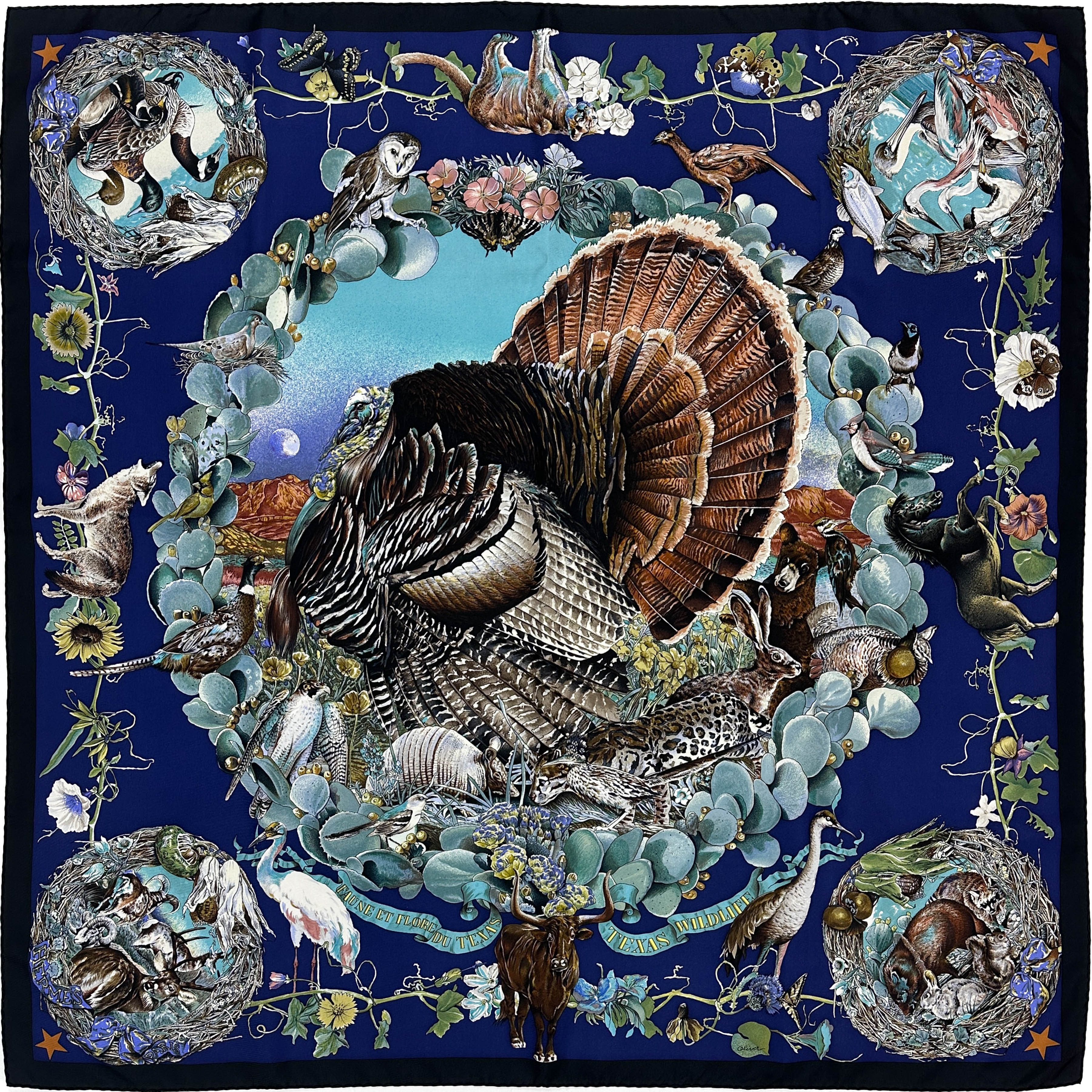 Hermès Faune et Flore du Texas 90