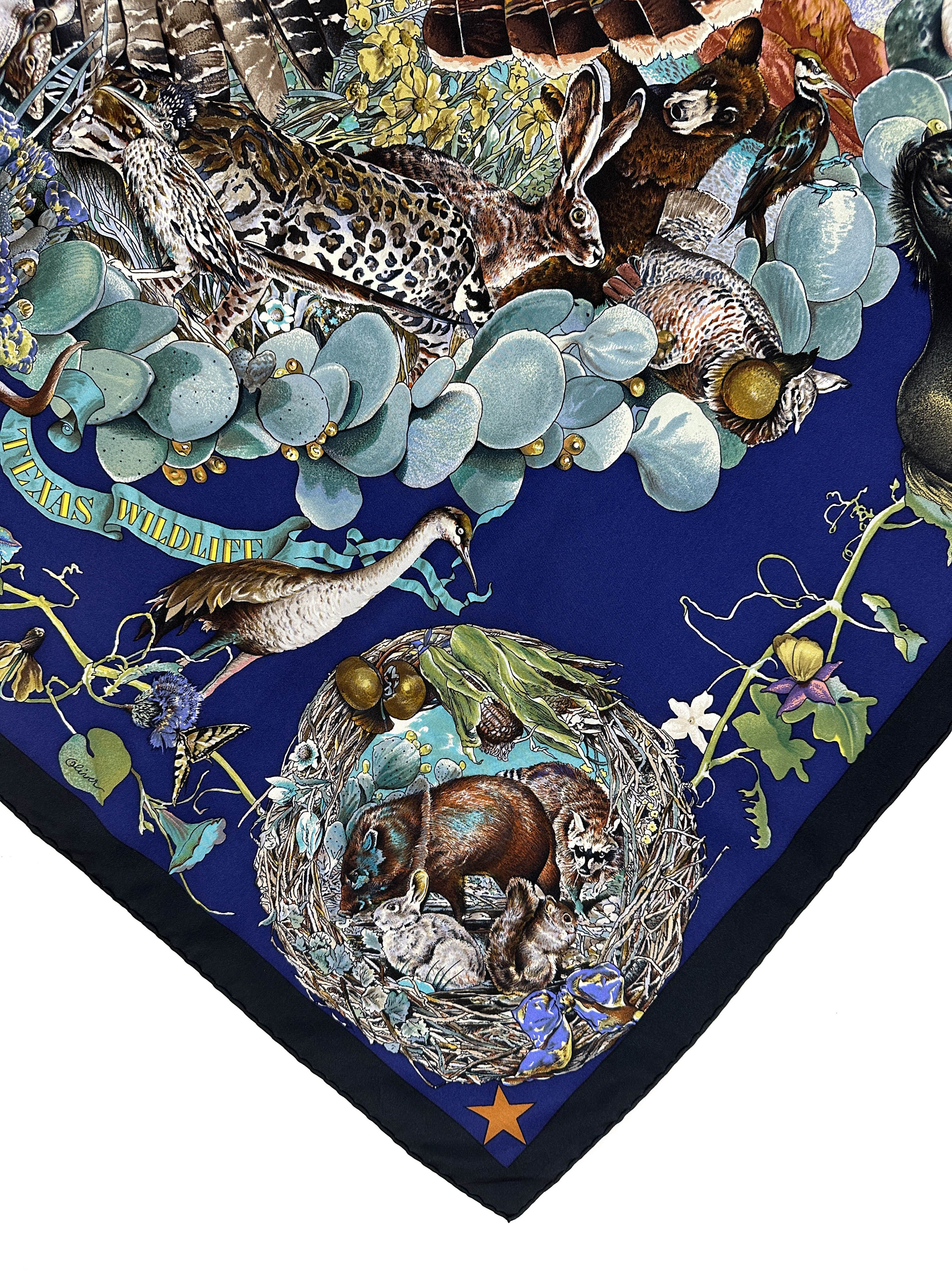 Hermès Faune et Flore du Texas 90