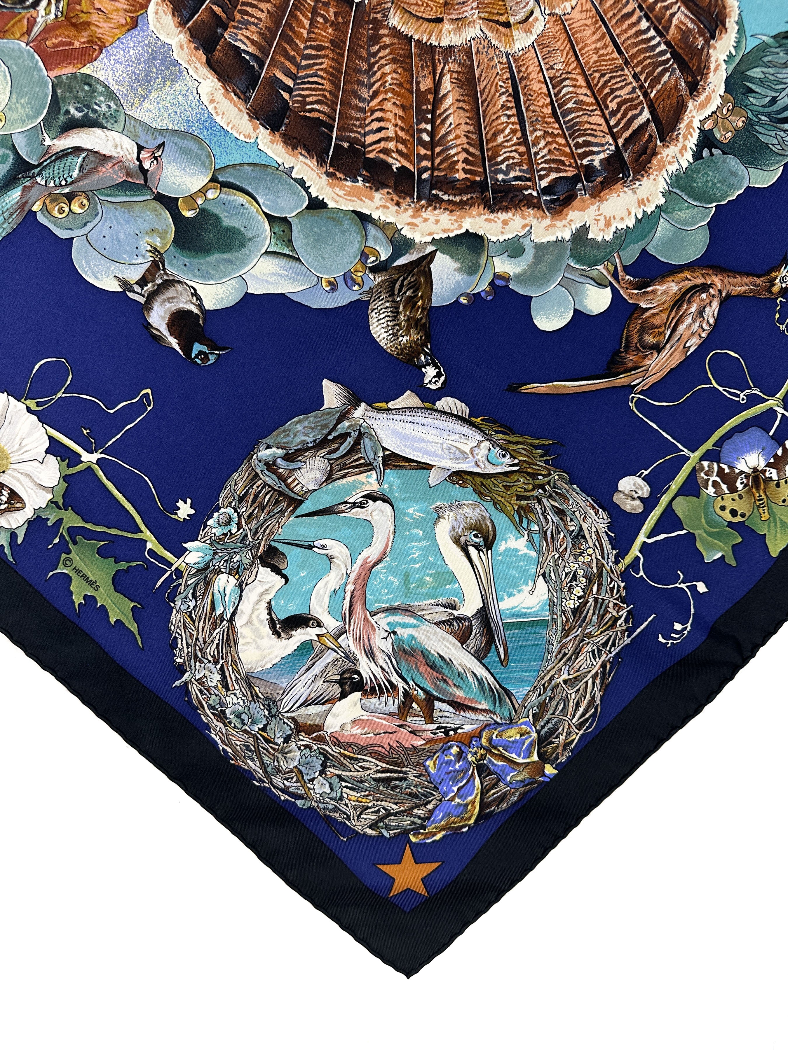 Hermès Faune et Flore du Texas 90