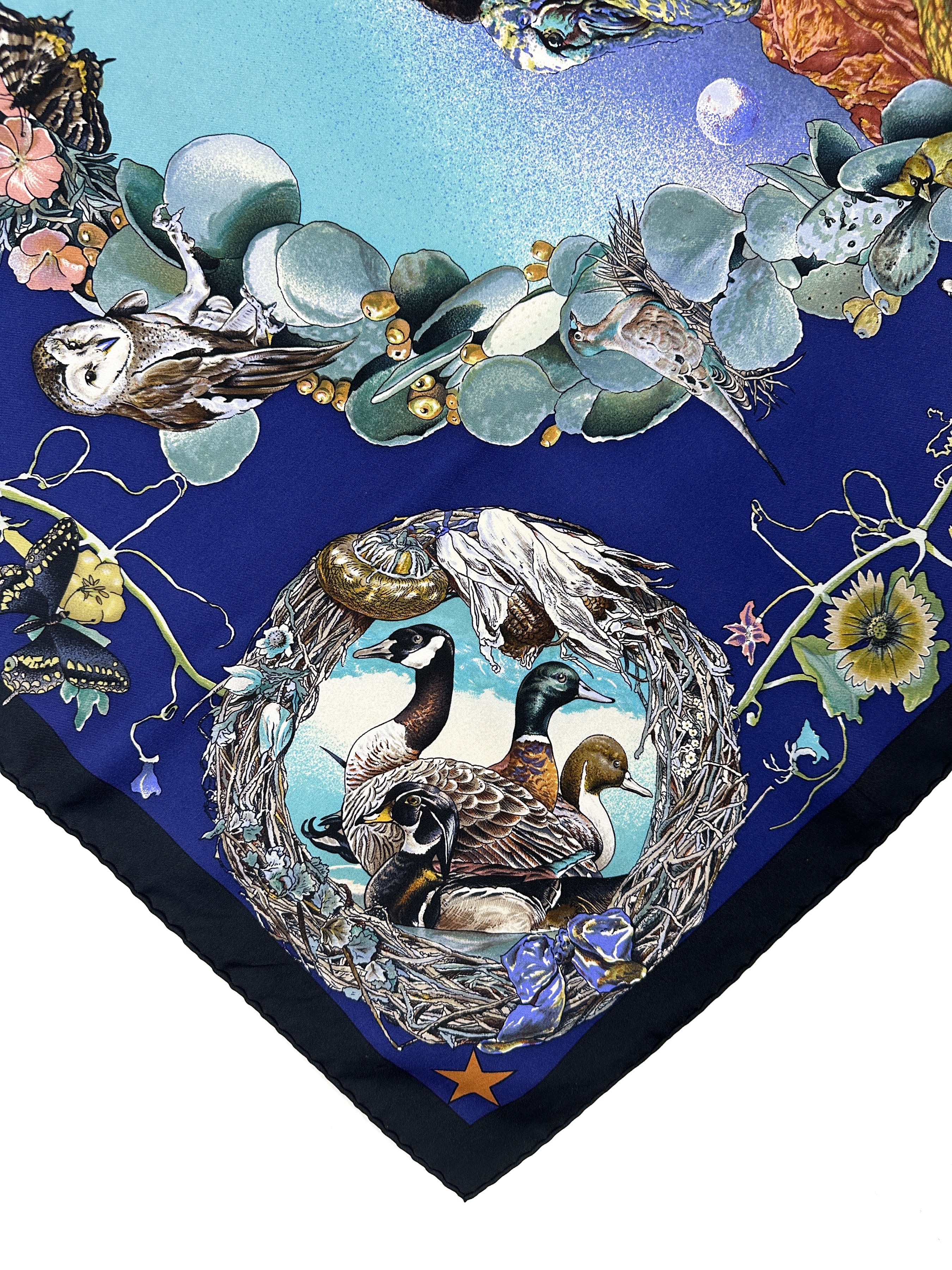 Hermès Faune et Flore du Texas 90