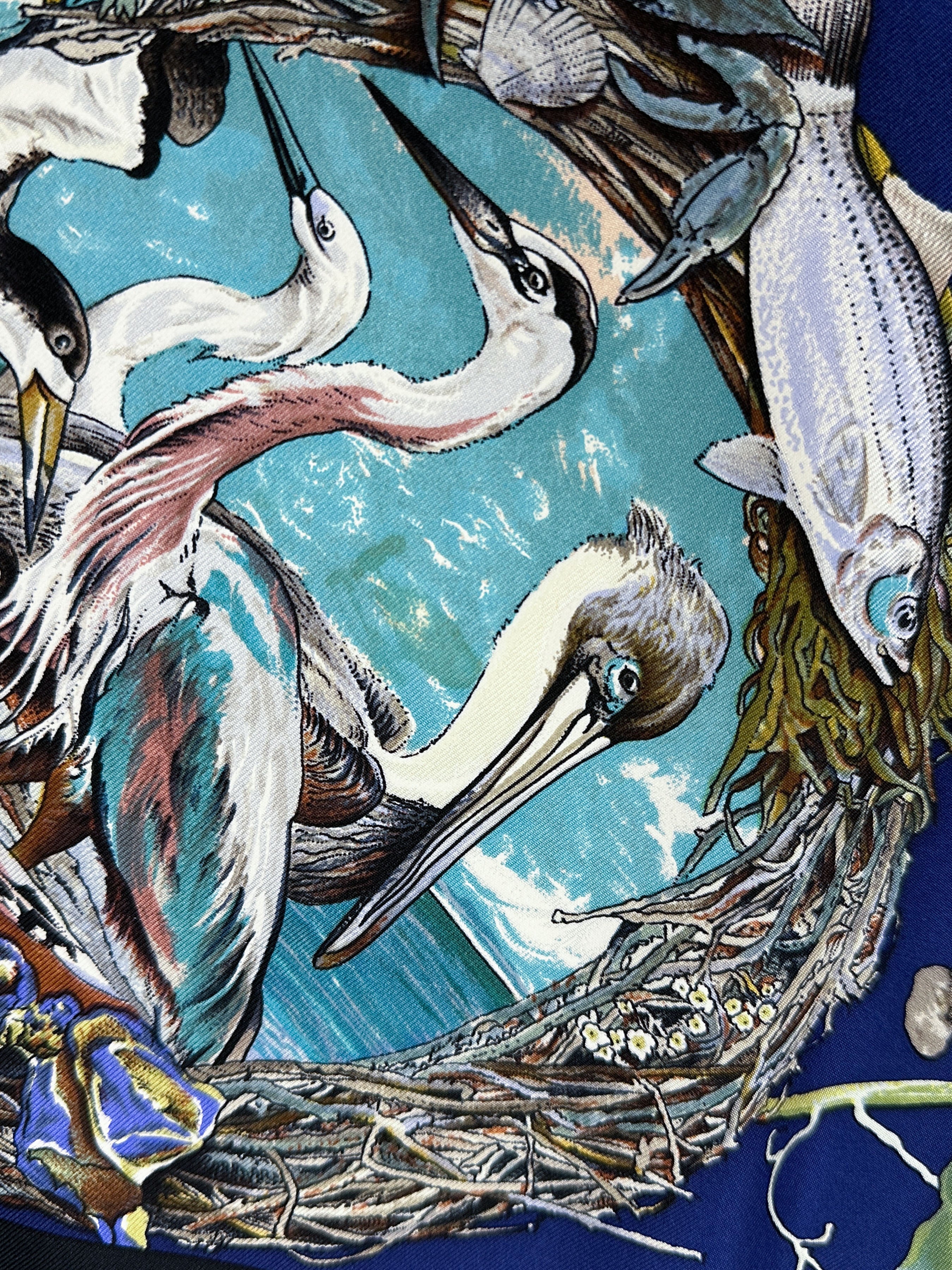 Hermès Faune et Flore du Texas 90