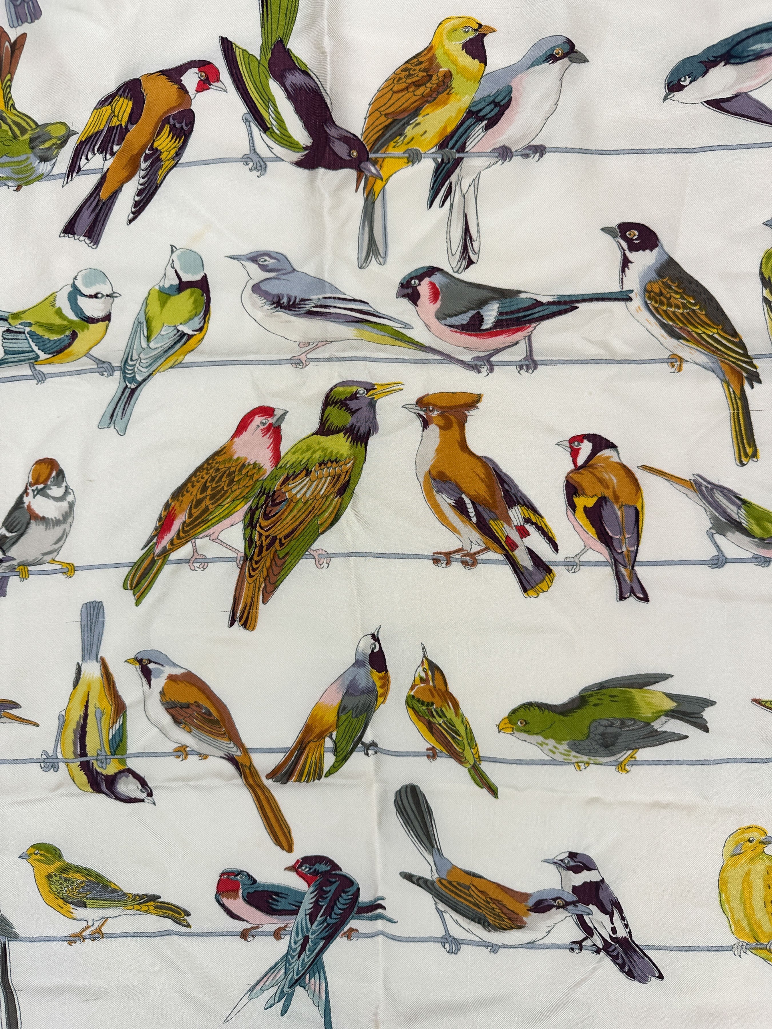 Hermès Les Oiseaux des Champs et des Bois 90