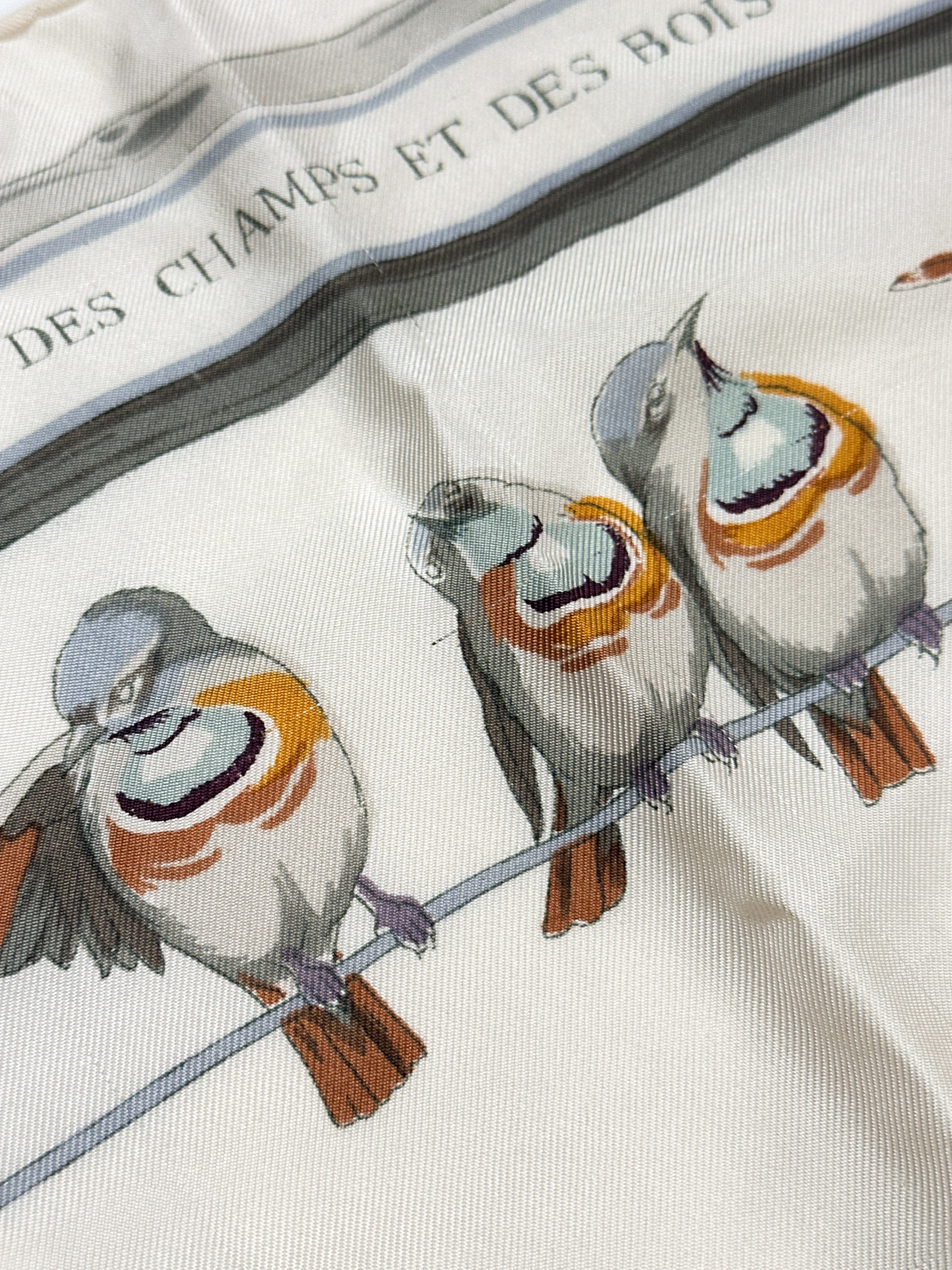 Hermès Les Oiseaux des Champs et des Bois 90