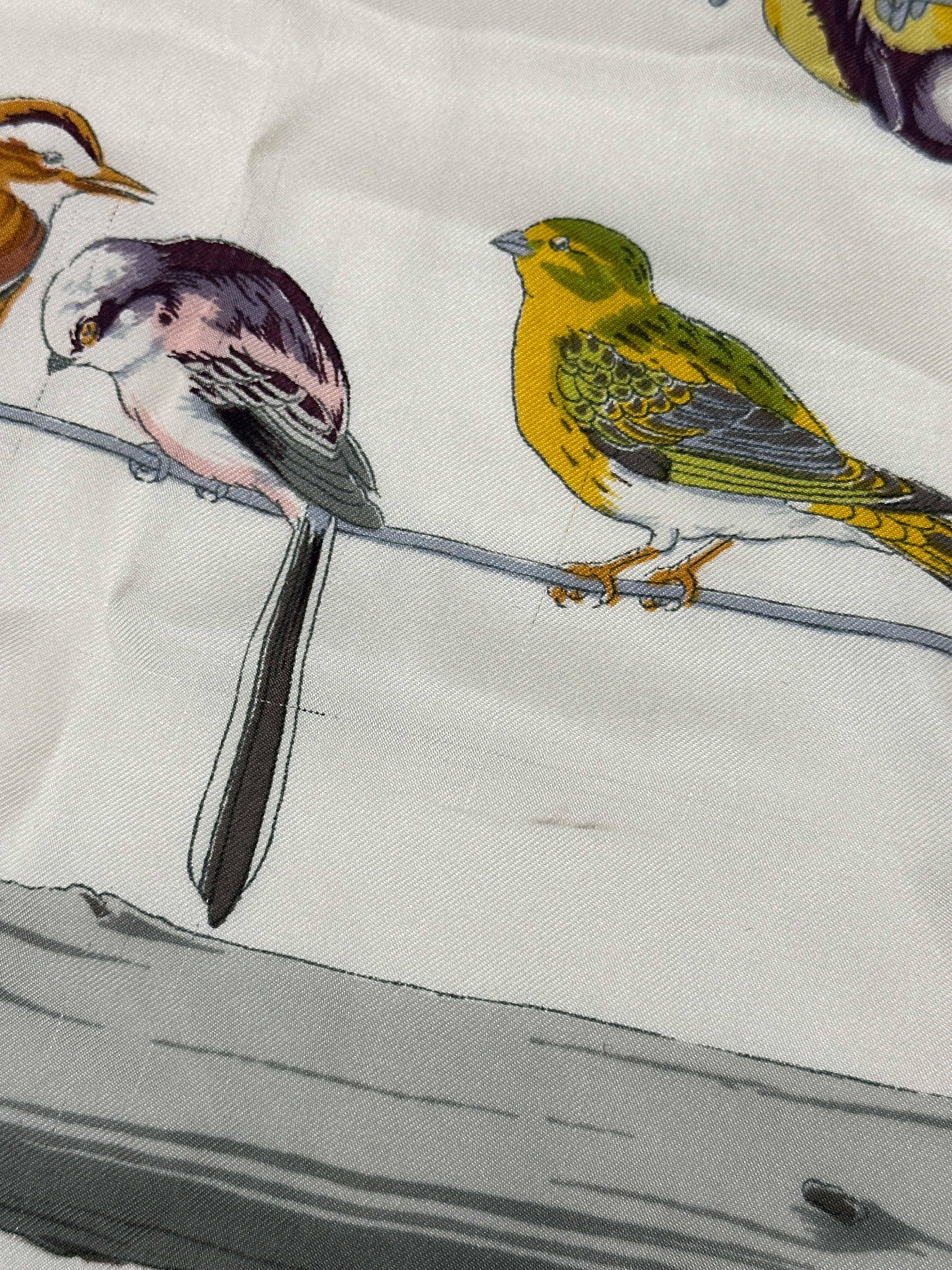 Hermès Les Oiseaux des Champs et des Bois 90