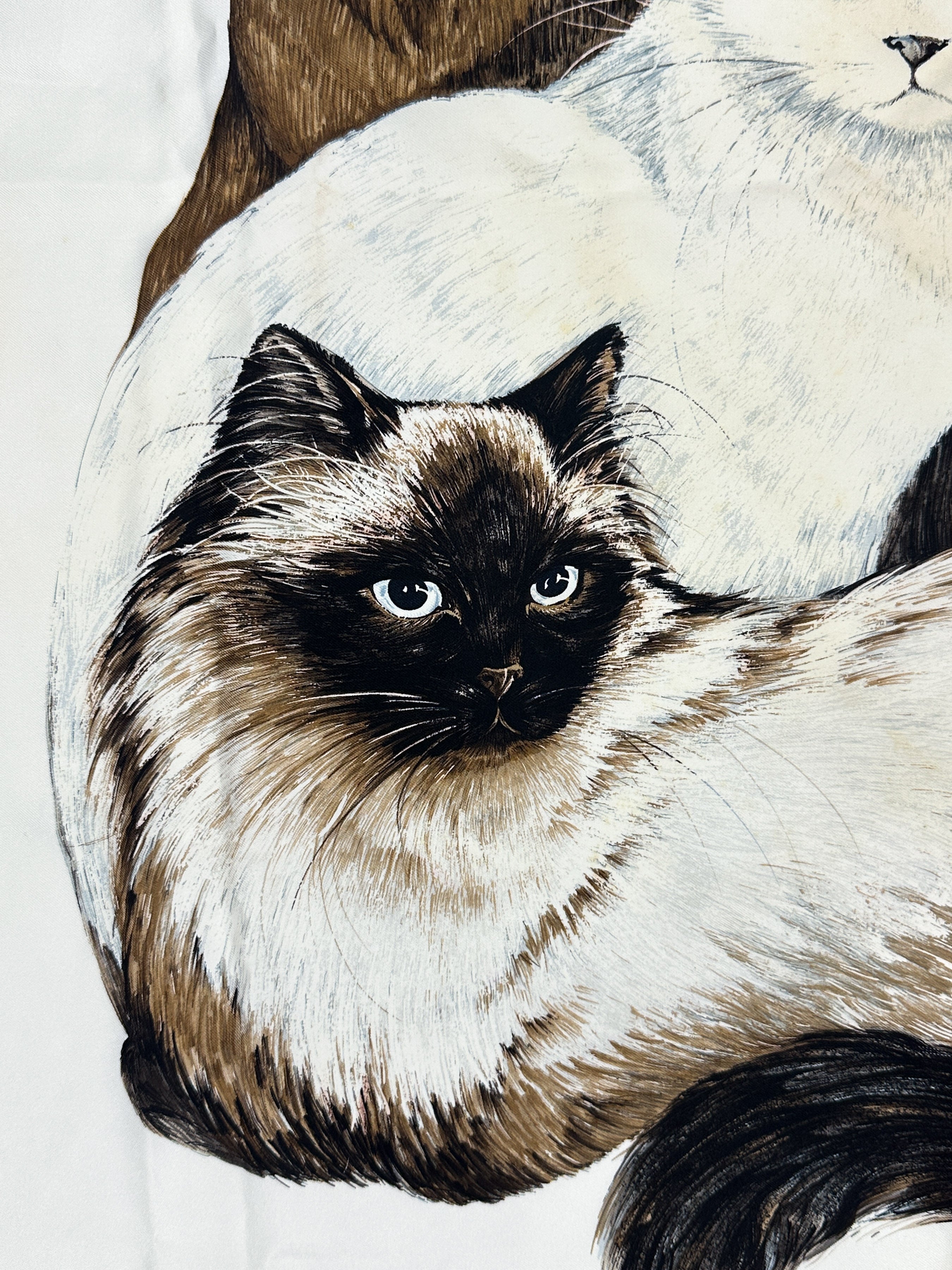 Hermès Les Chats 90
