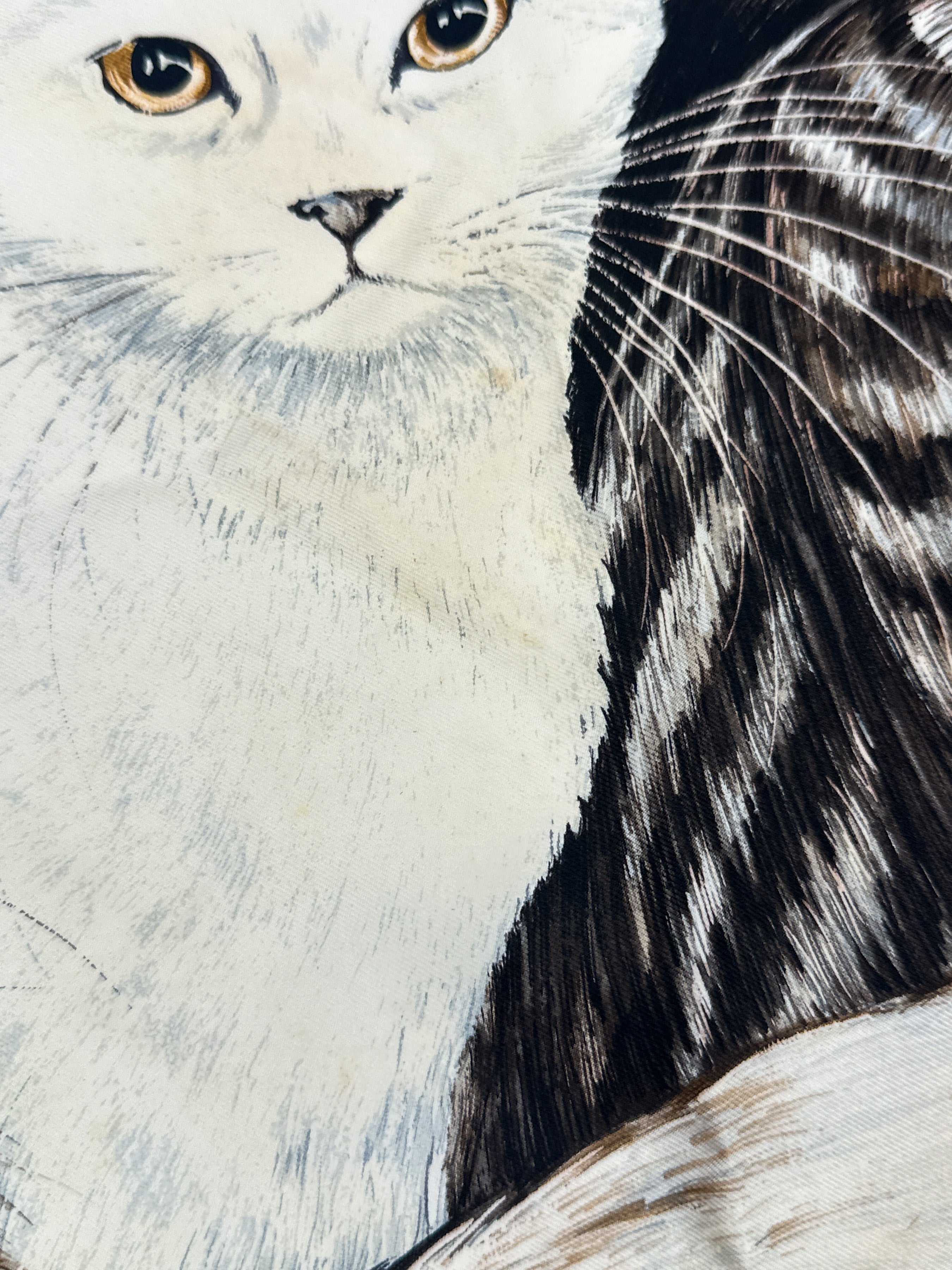 Hermès Les Chats 90