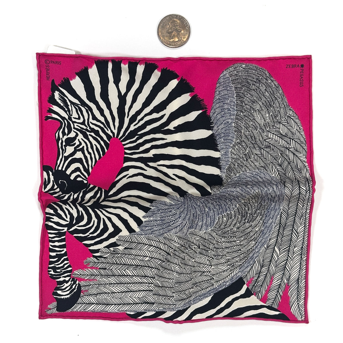 Hermès Zebra Pegasus Nano 20