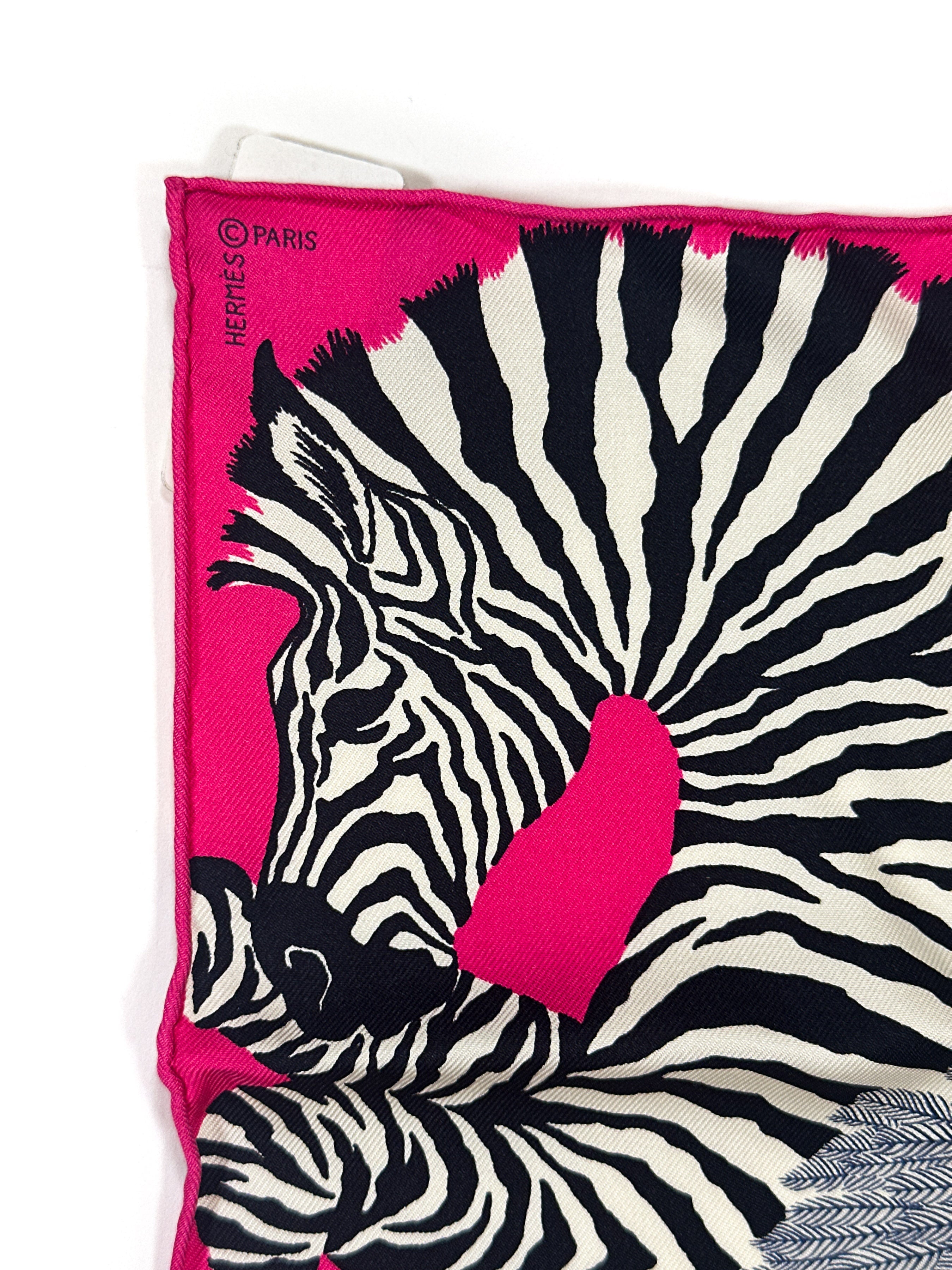 Hermès Zebra Pegasus Nano 20
