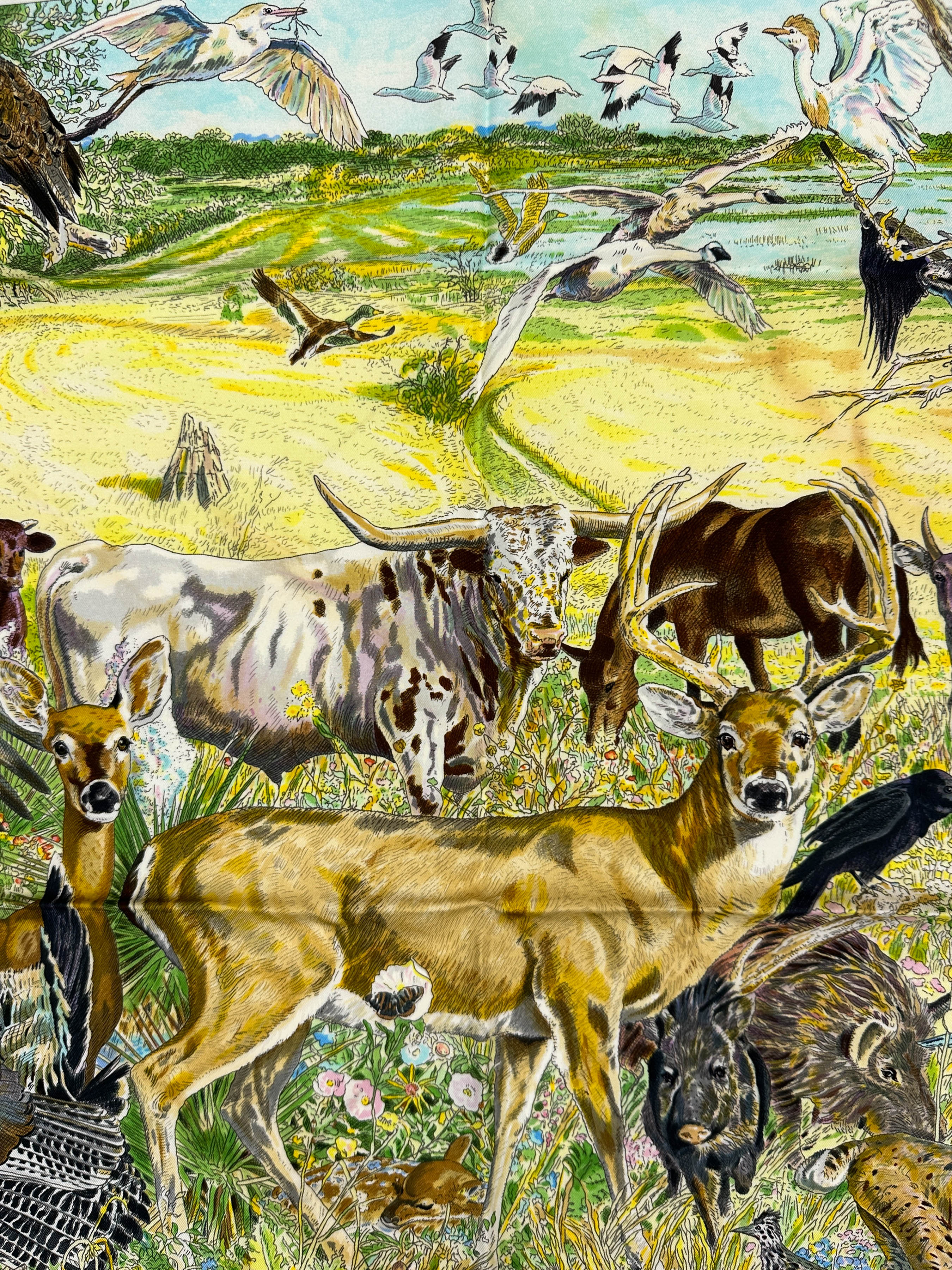 Hermès La Vie Sauvage du Texas 90