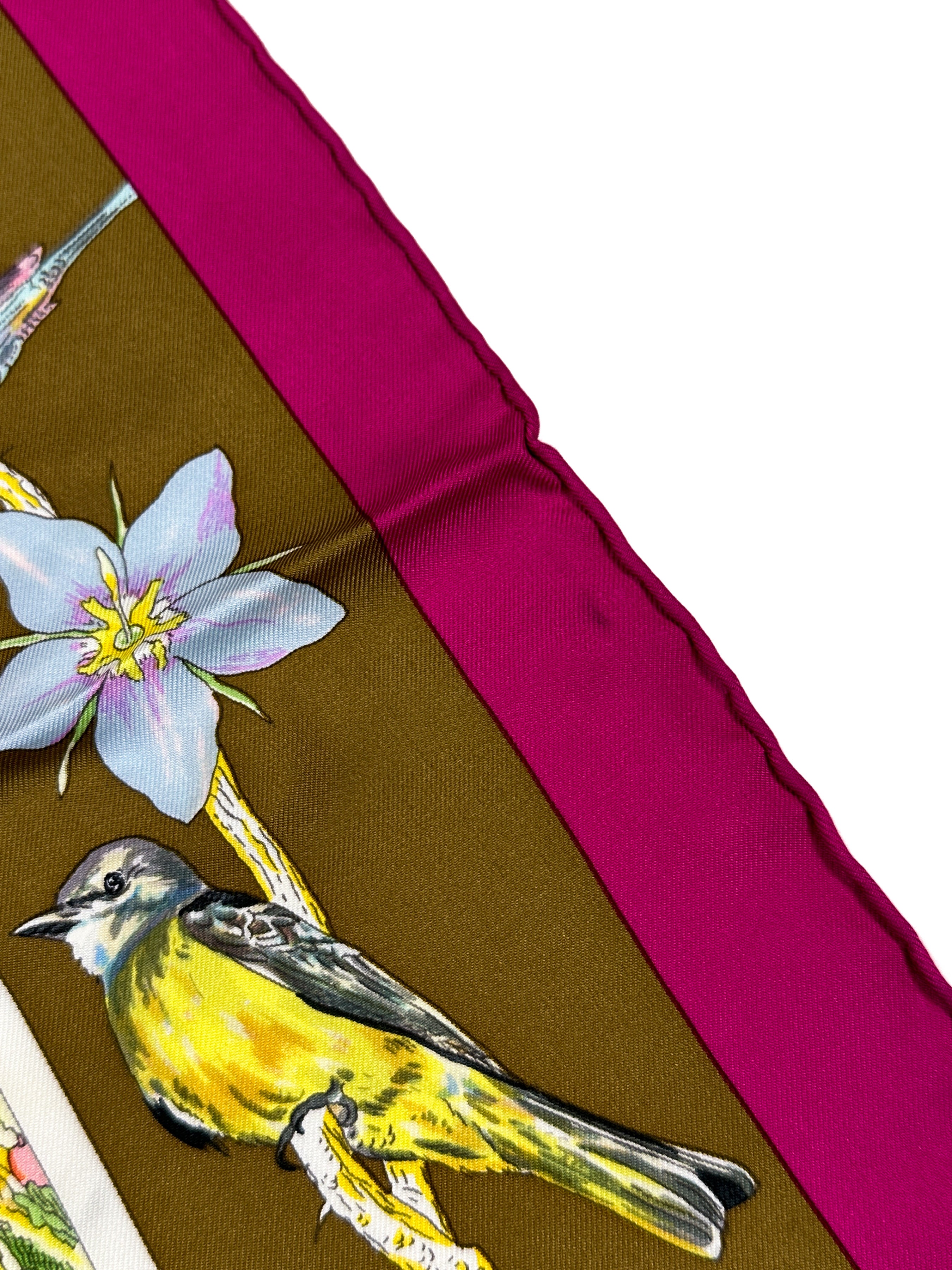 Hermès La Vie Sauvage du Texas 90