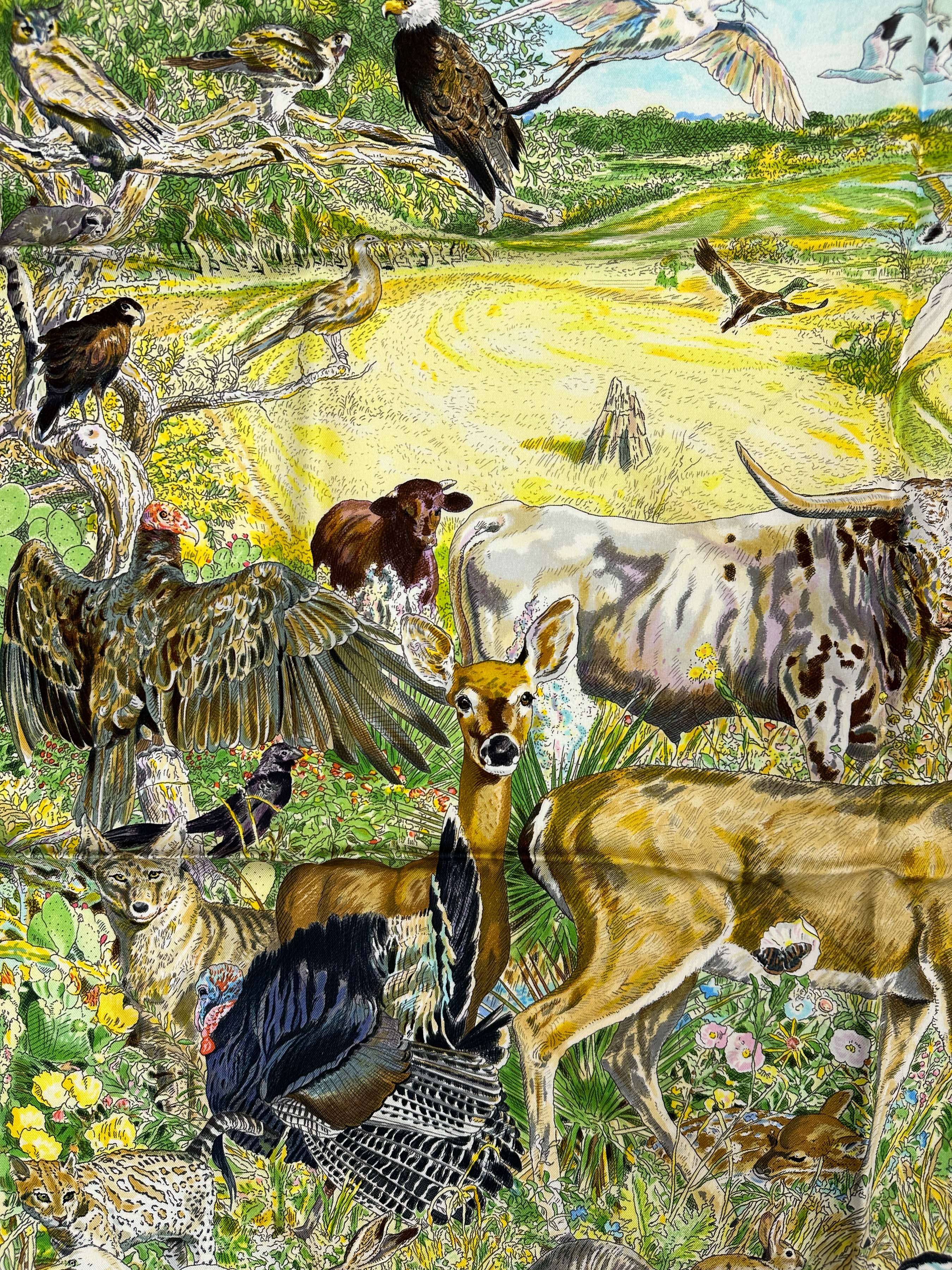 Hermès La Vie Sauvage du Texas 90