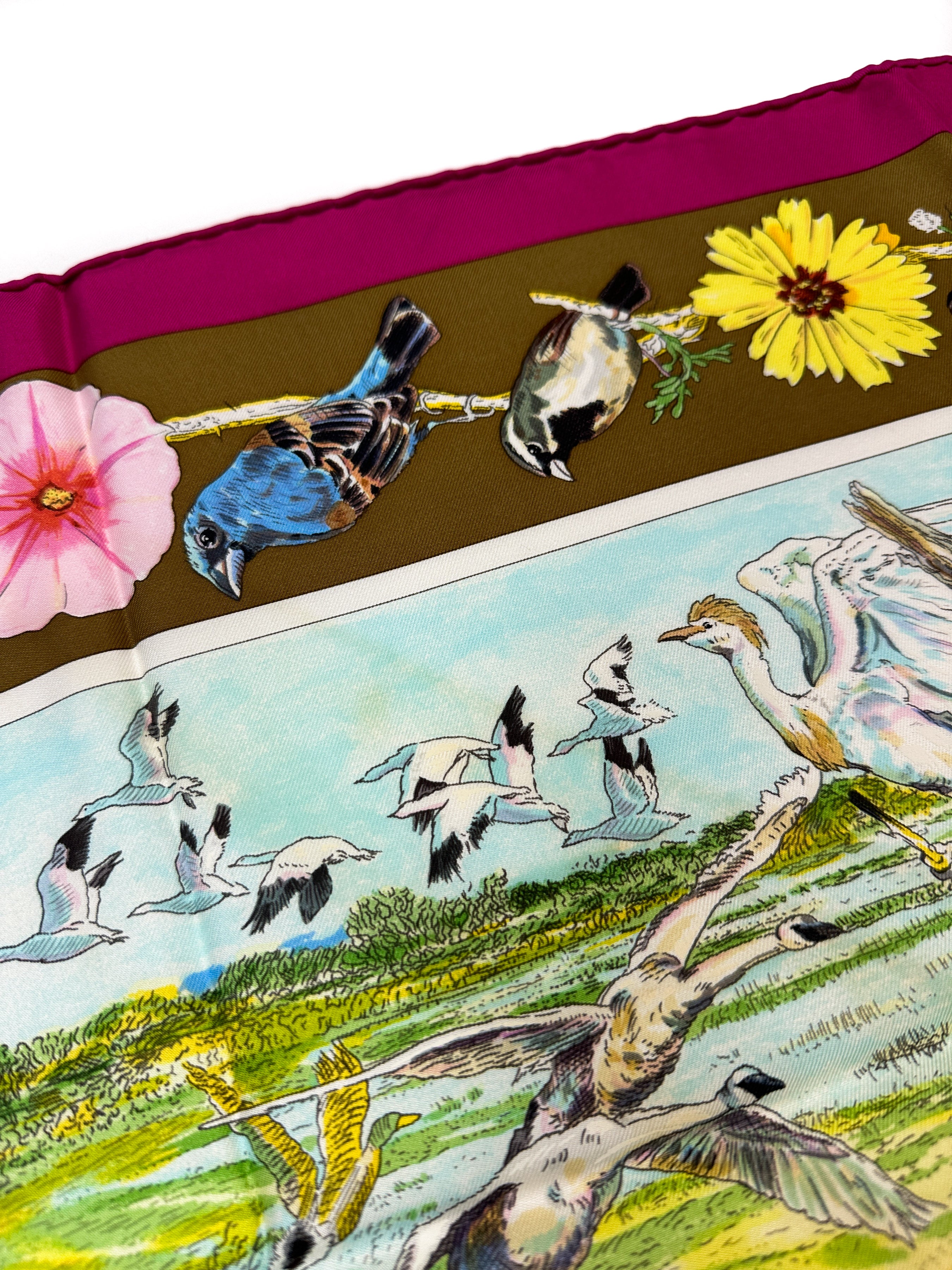 Hermès La Vie Sauvage du Texas 90