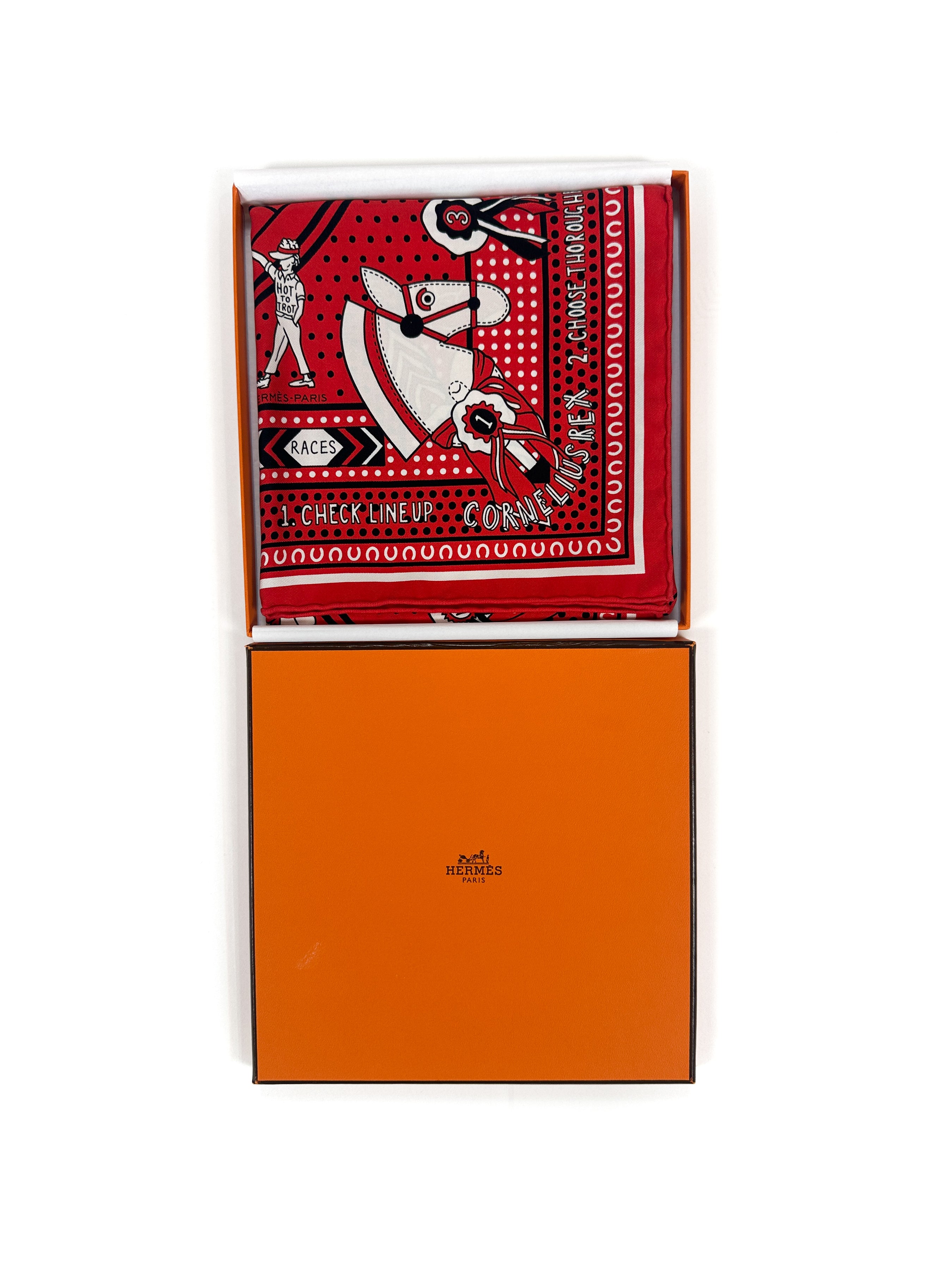Hermès Silk Up 55