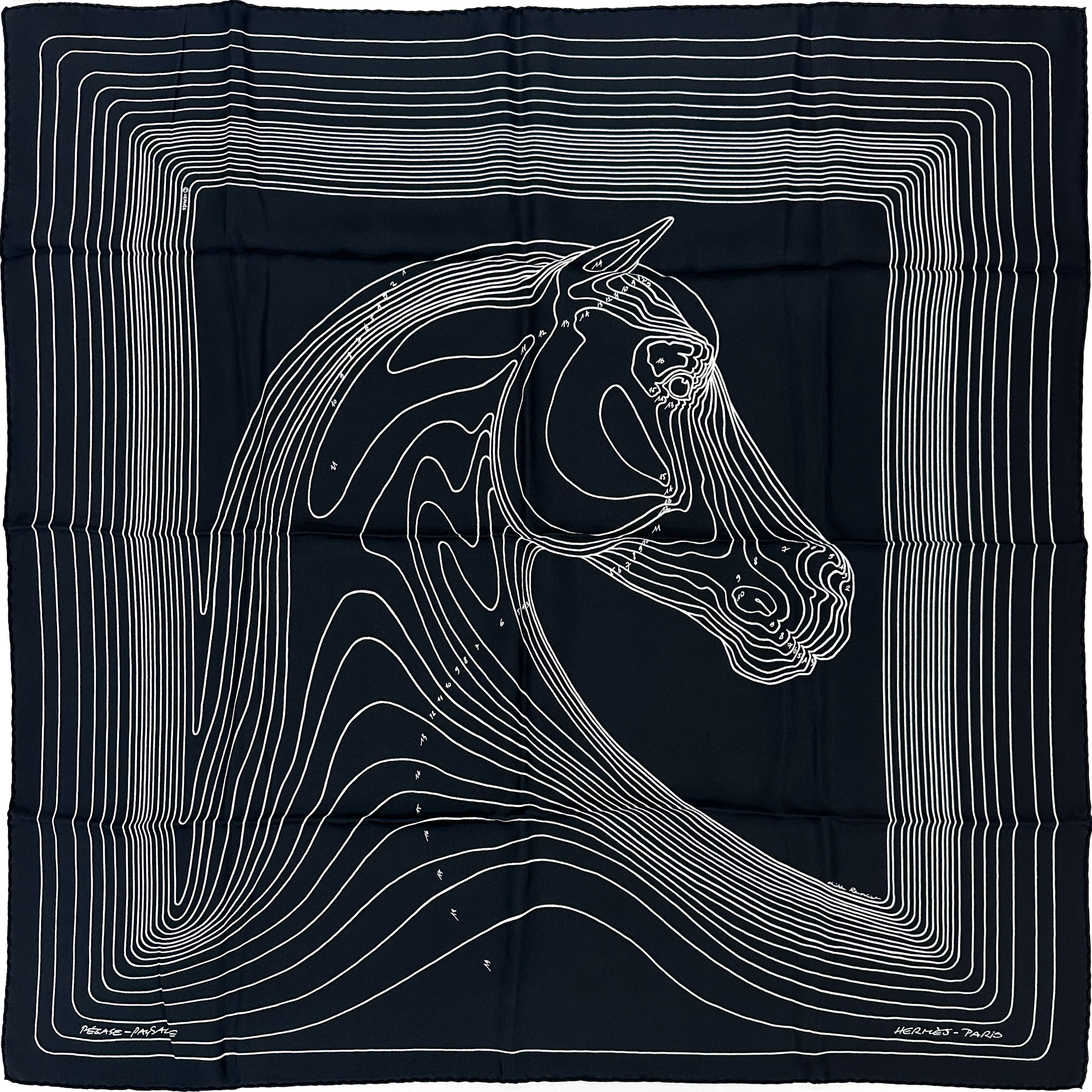 Hermès Pégase Paysage Wash 90