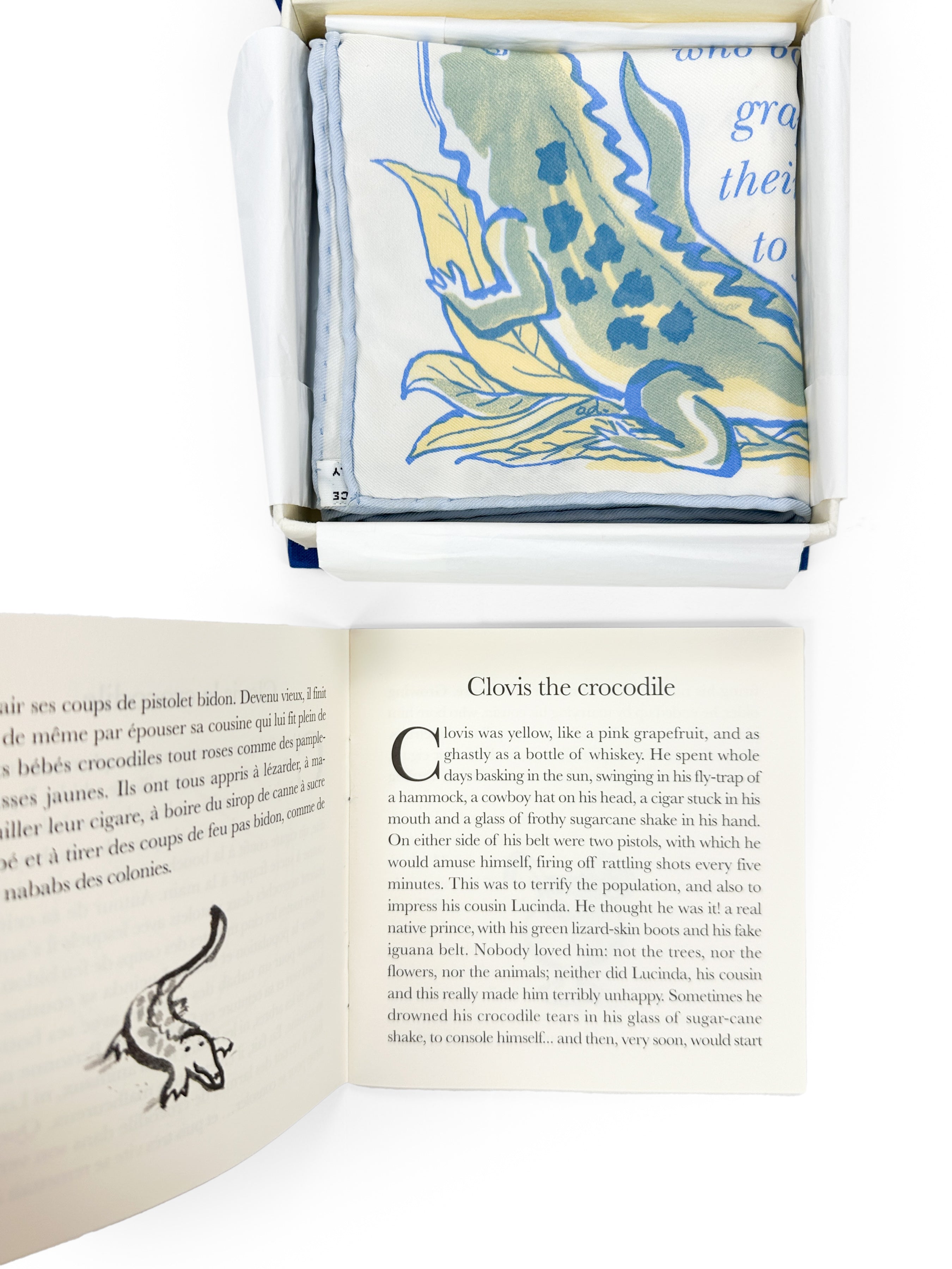 Hermes Clovis Story Book 45