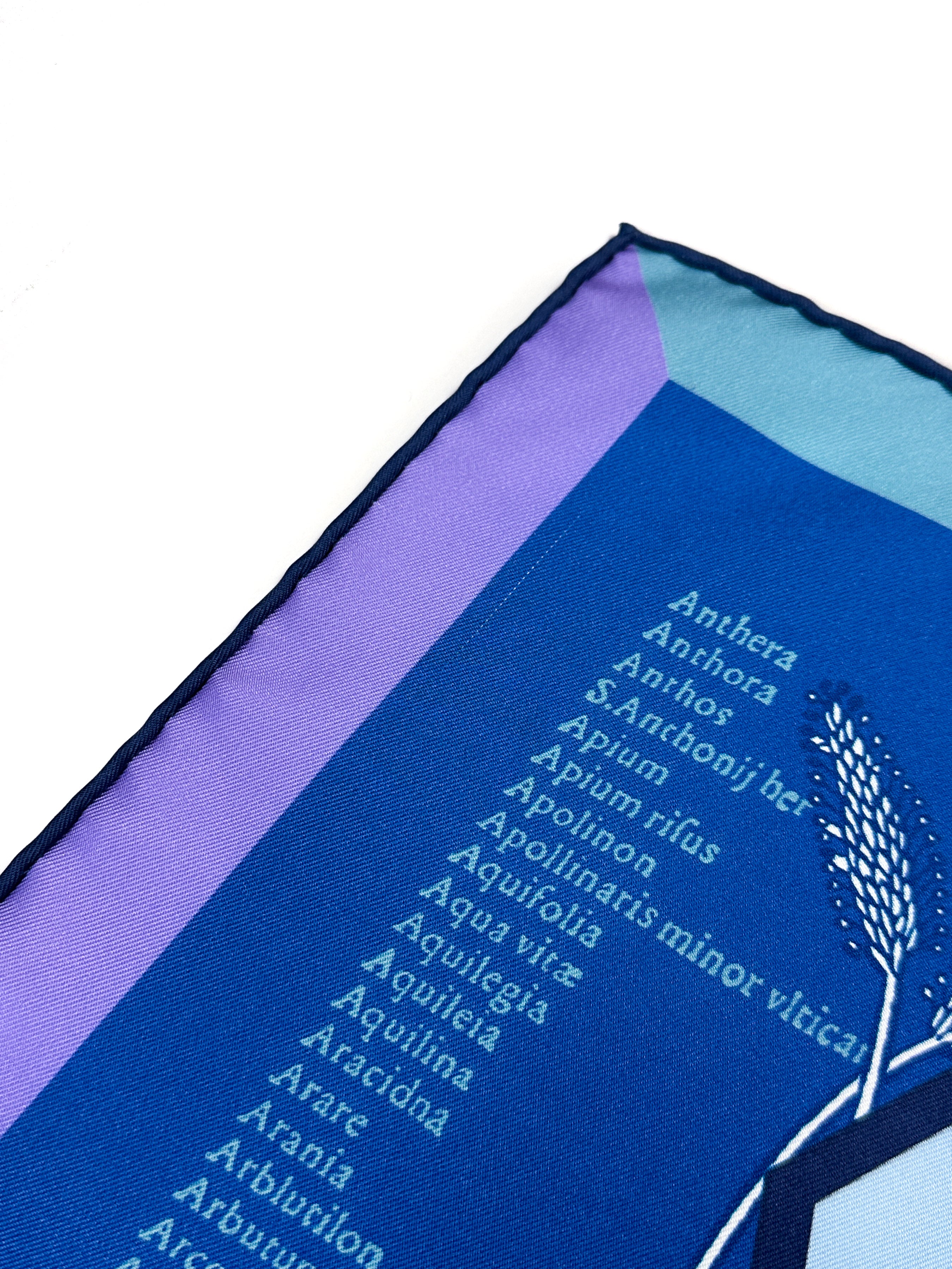 Hermès Botanica Grafica Double Face 90