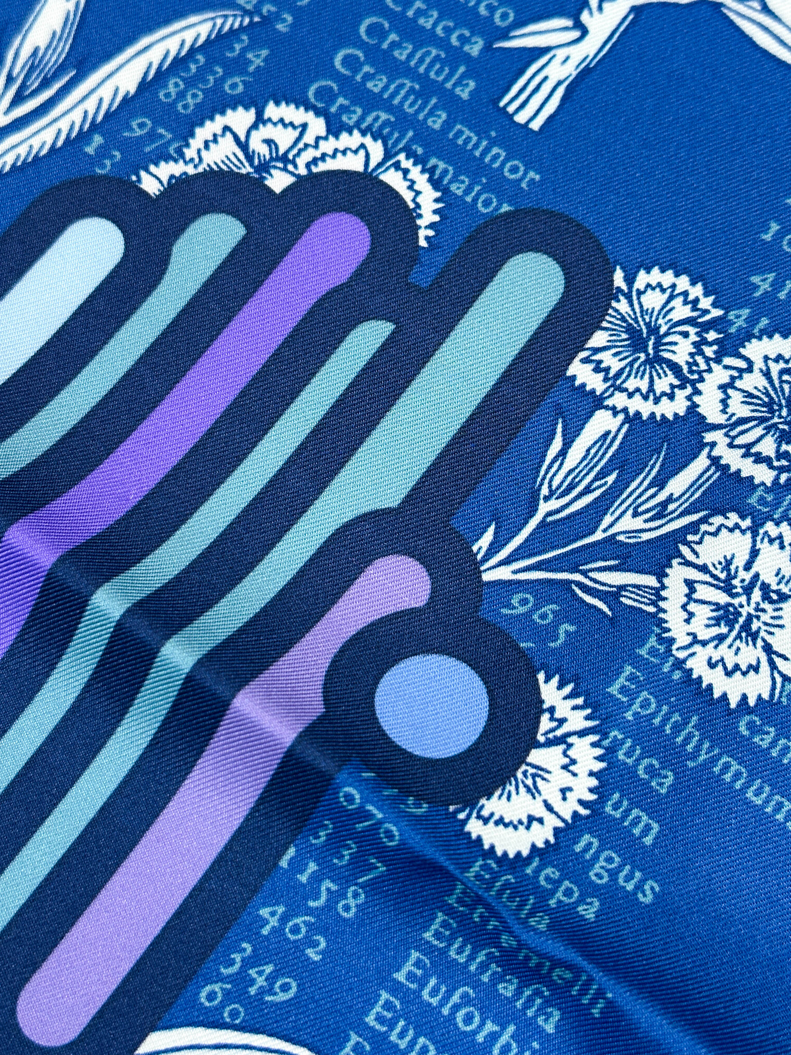 Hermès Botanica Grafica Double Face 90